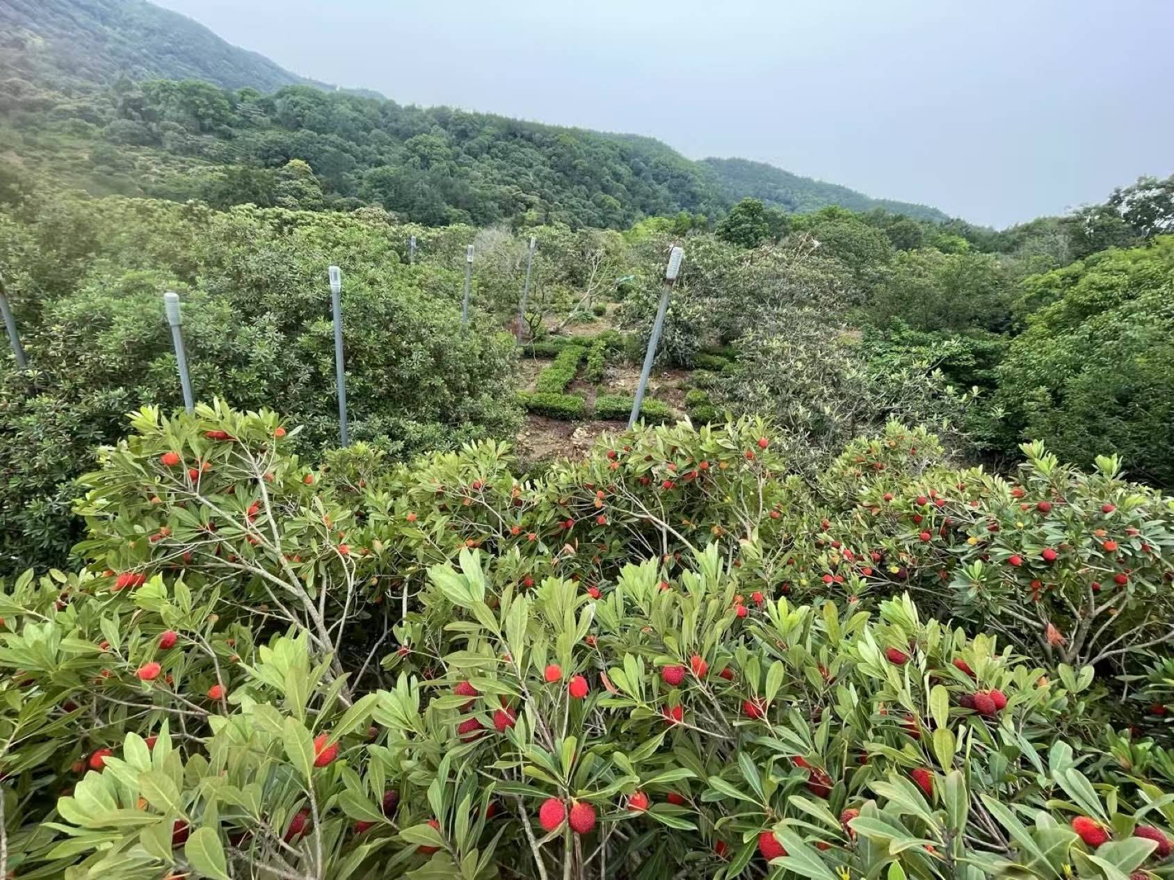 我的土著生活_4