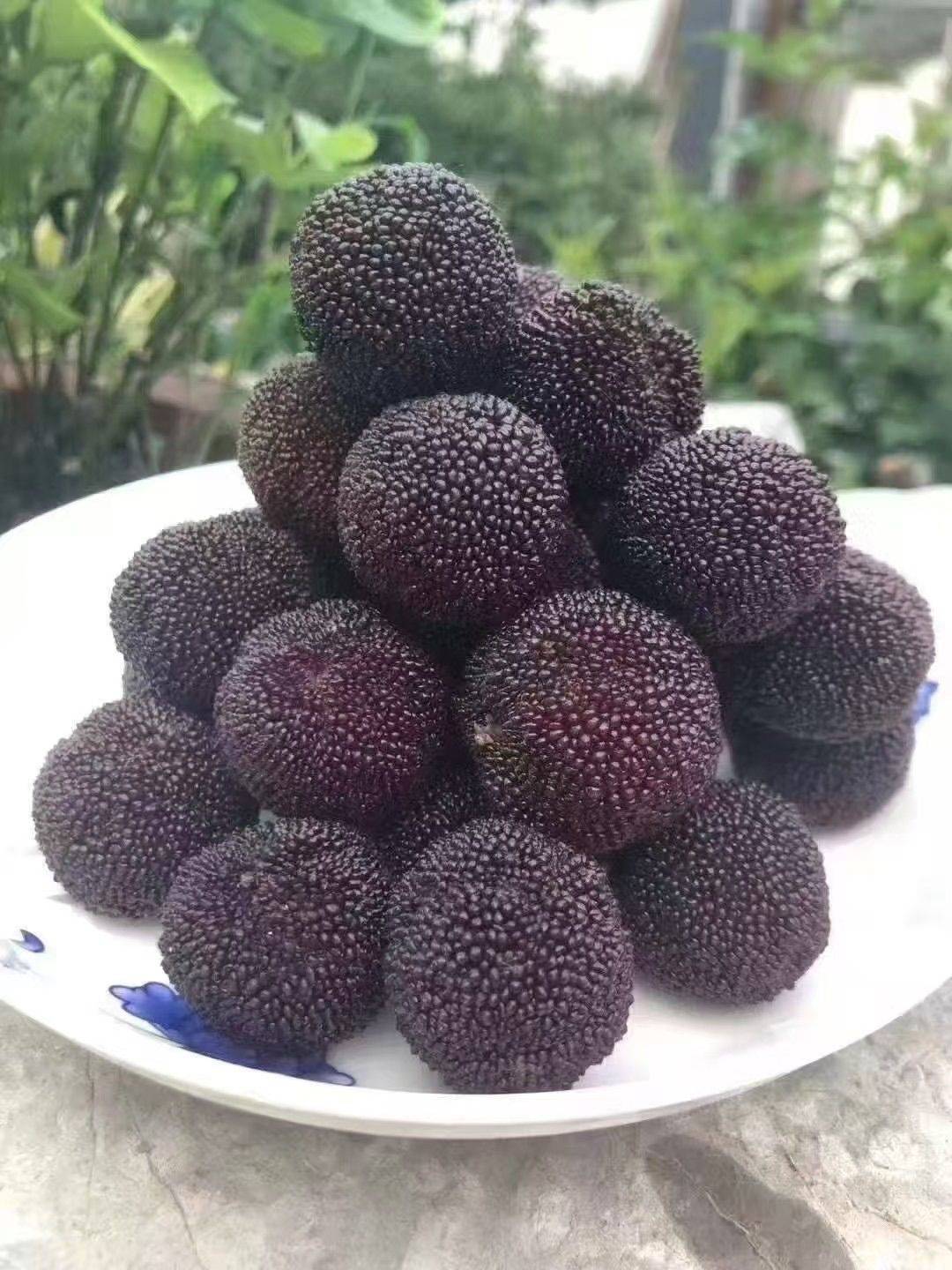 我的土著生活_0