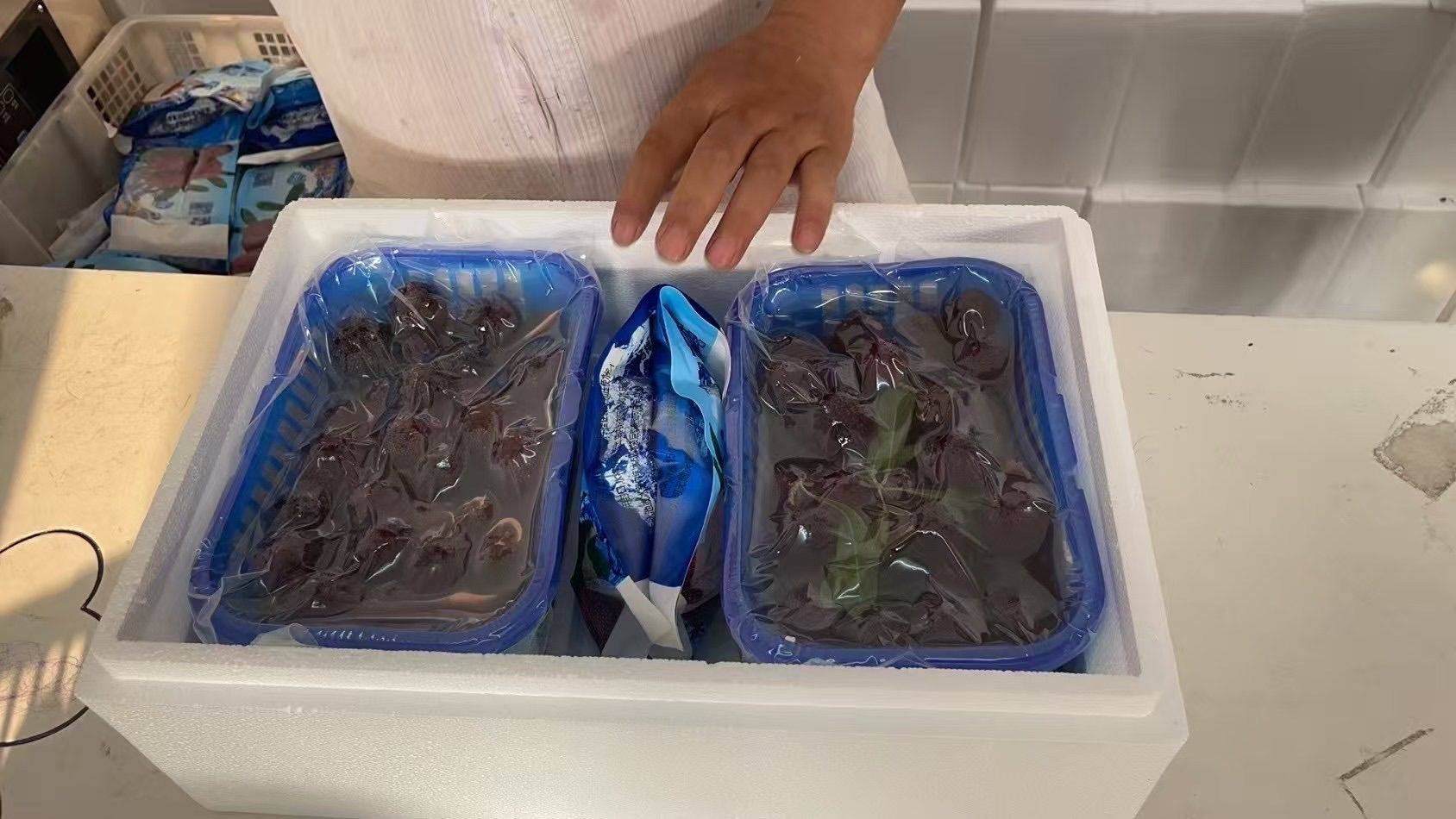 我的土著生活_3