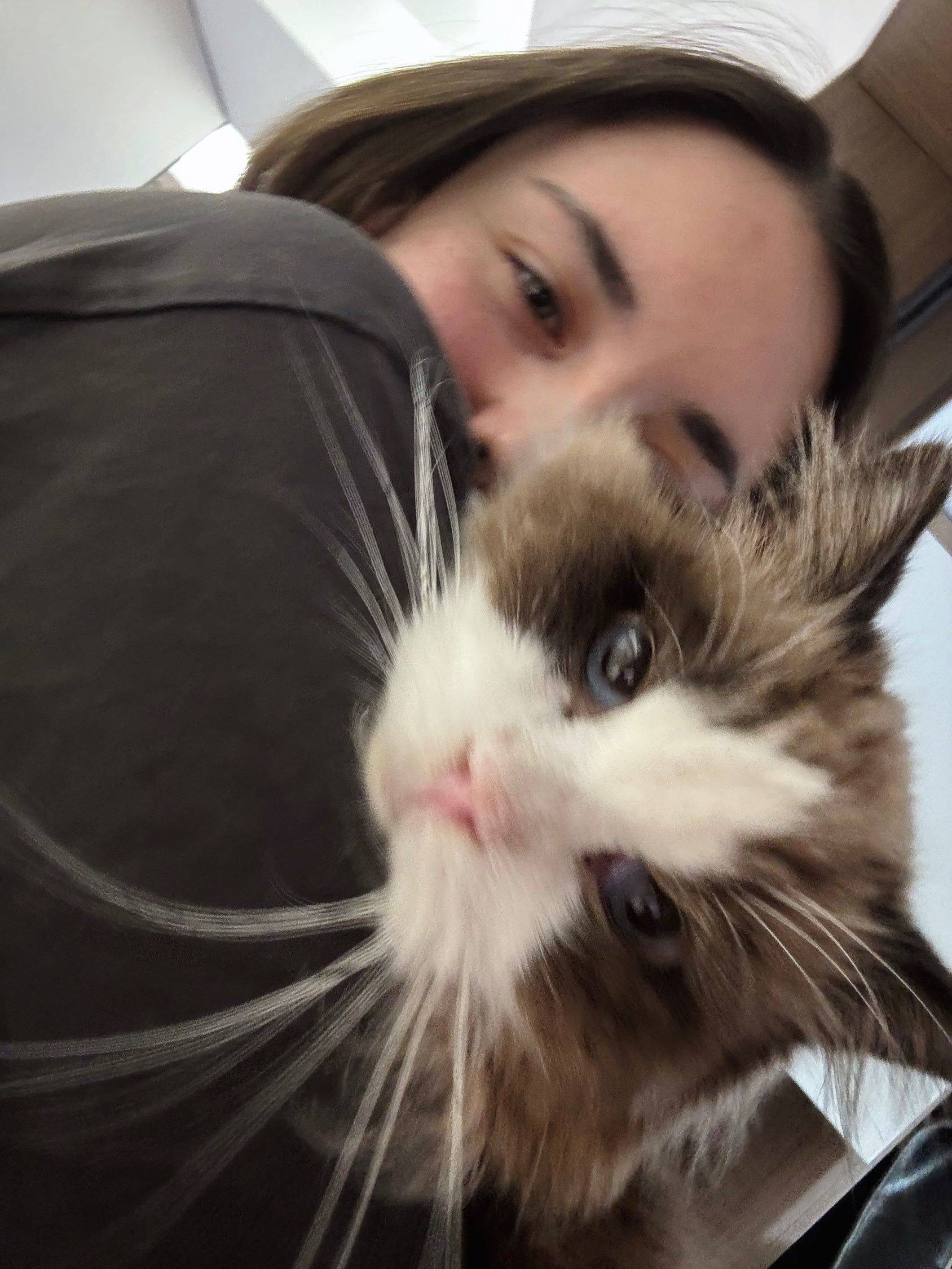 想和这位毛茸茸的小帅哥同居一周吗？😻_0