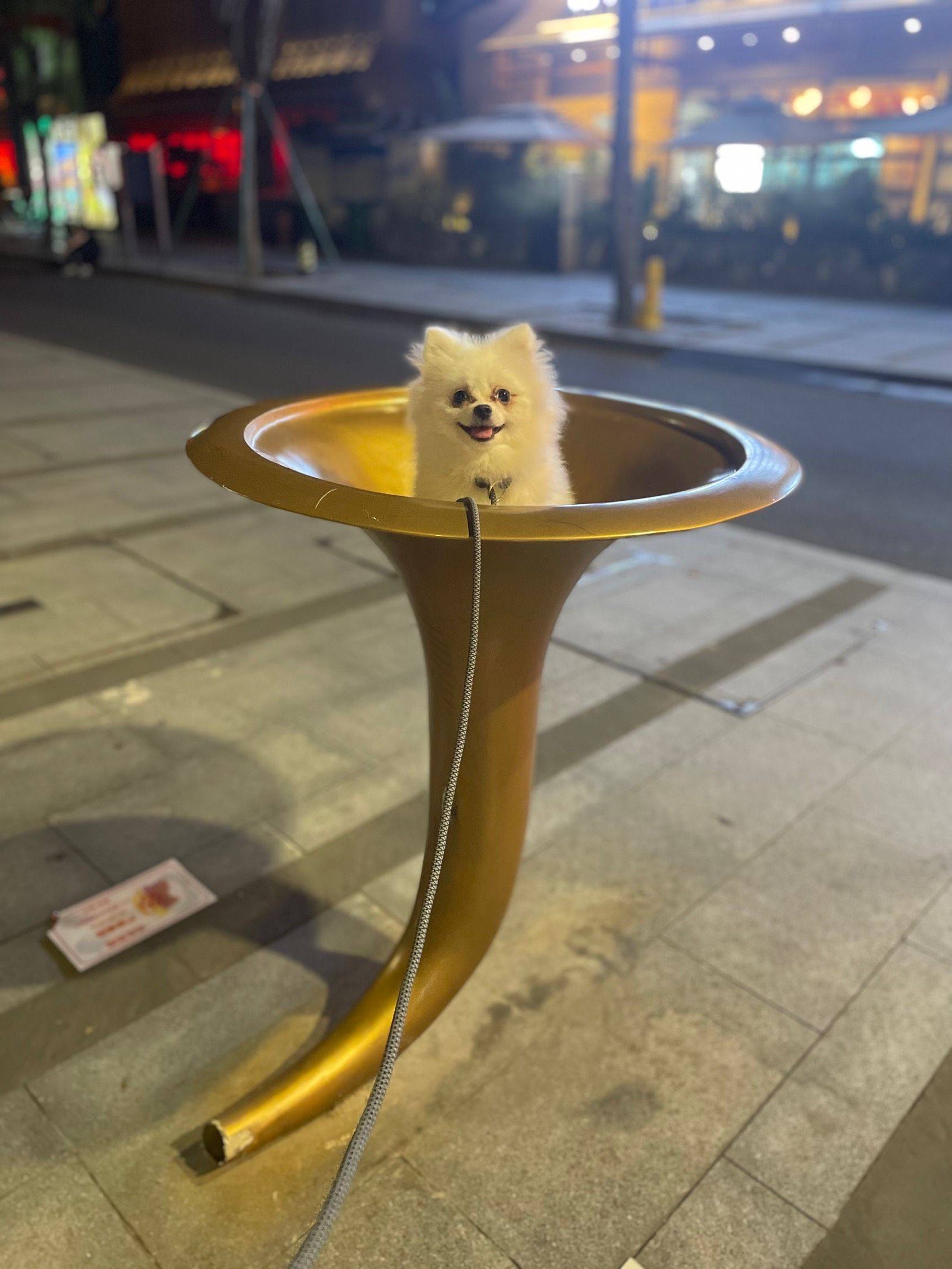 在线蹲室友 