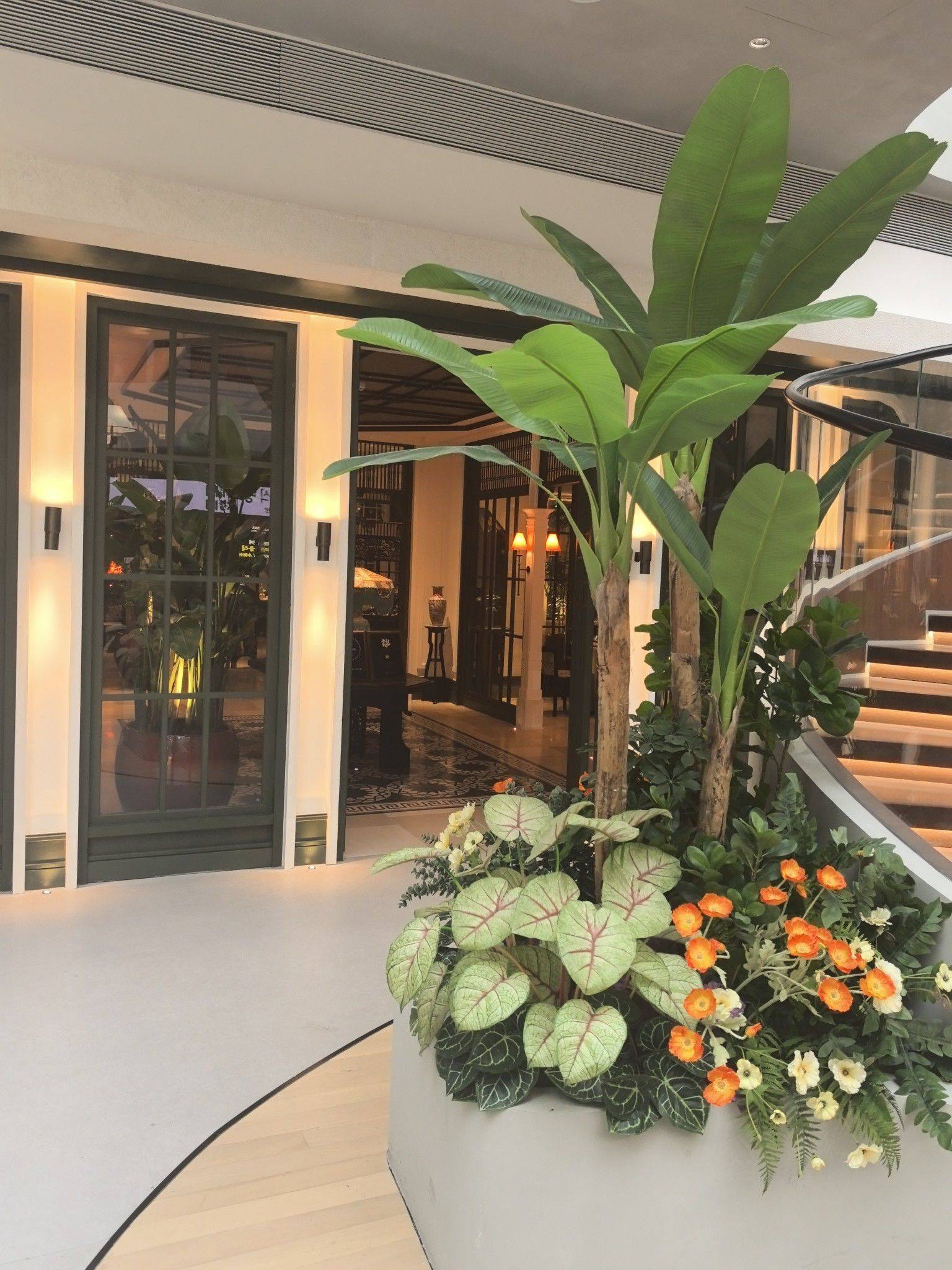 雨中花园用早餐_3