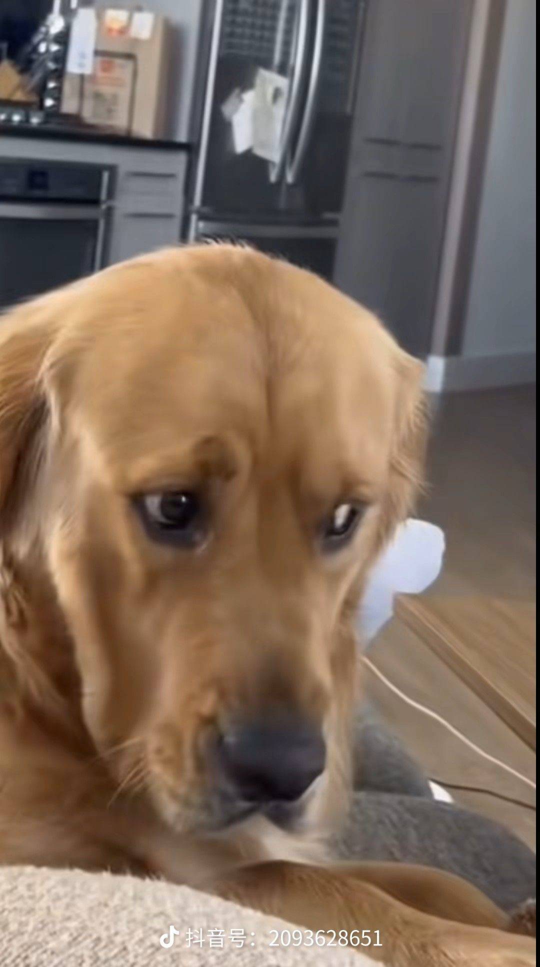 求普陀曹杨十一号线附近的房子