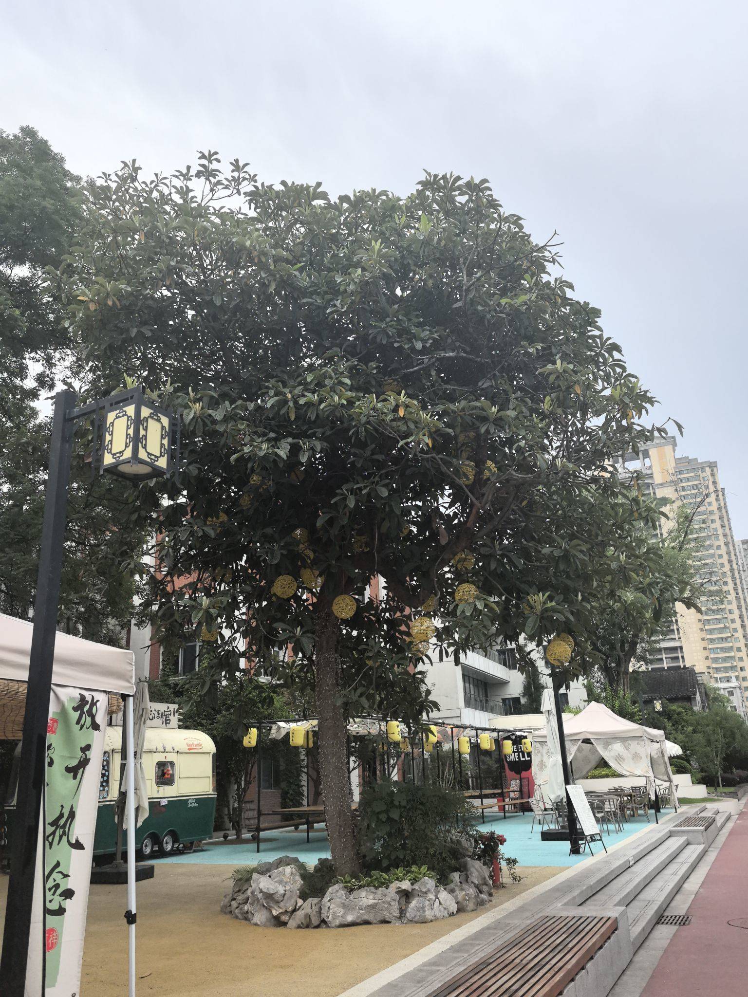 晨起微风中漫步熙南里_4