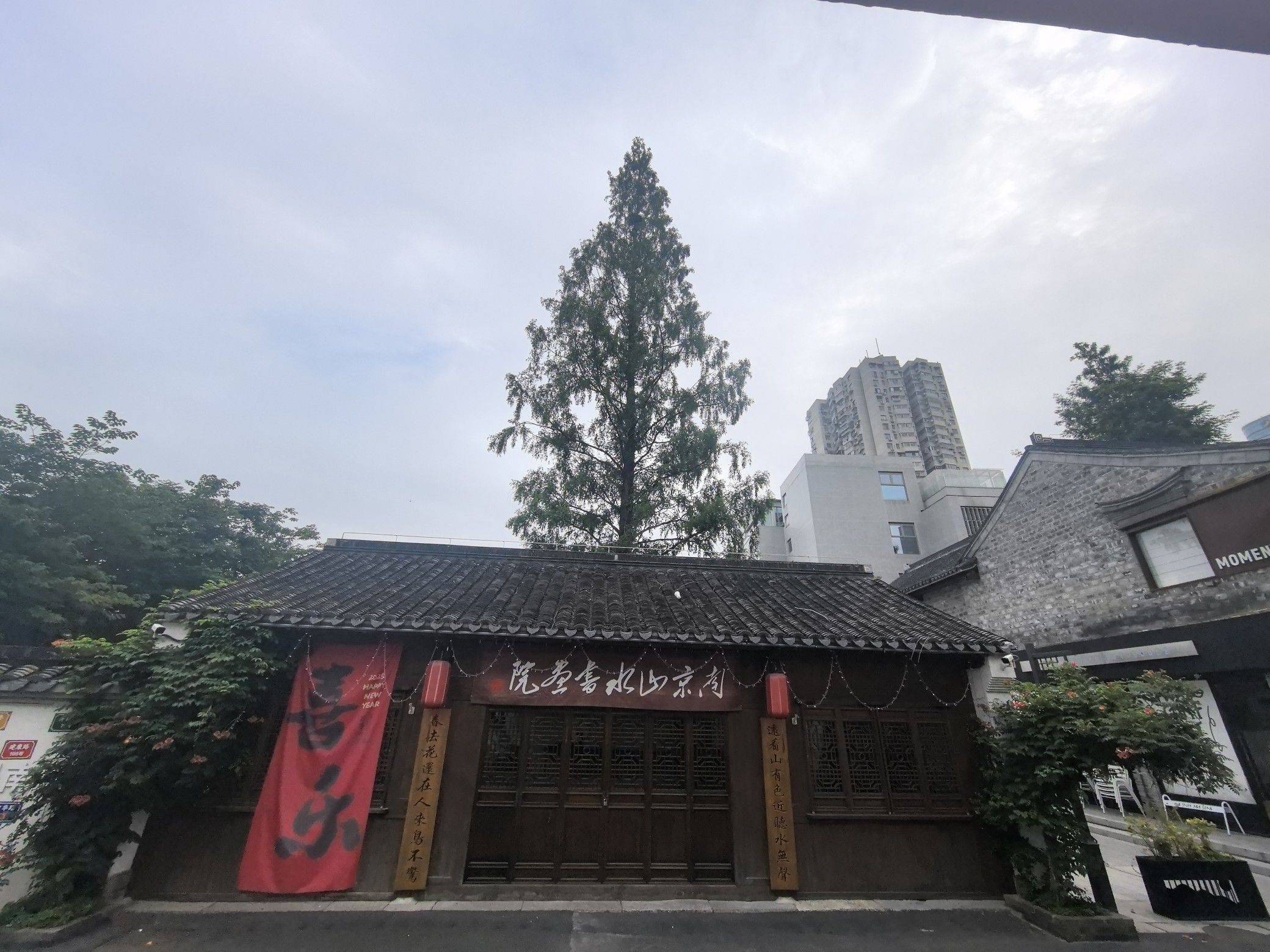 晨起微风中漫步熙南里_2