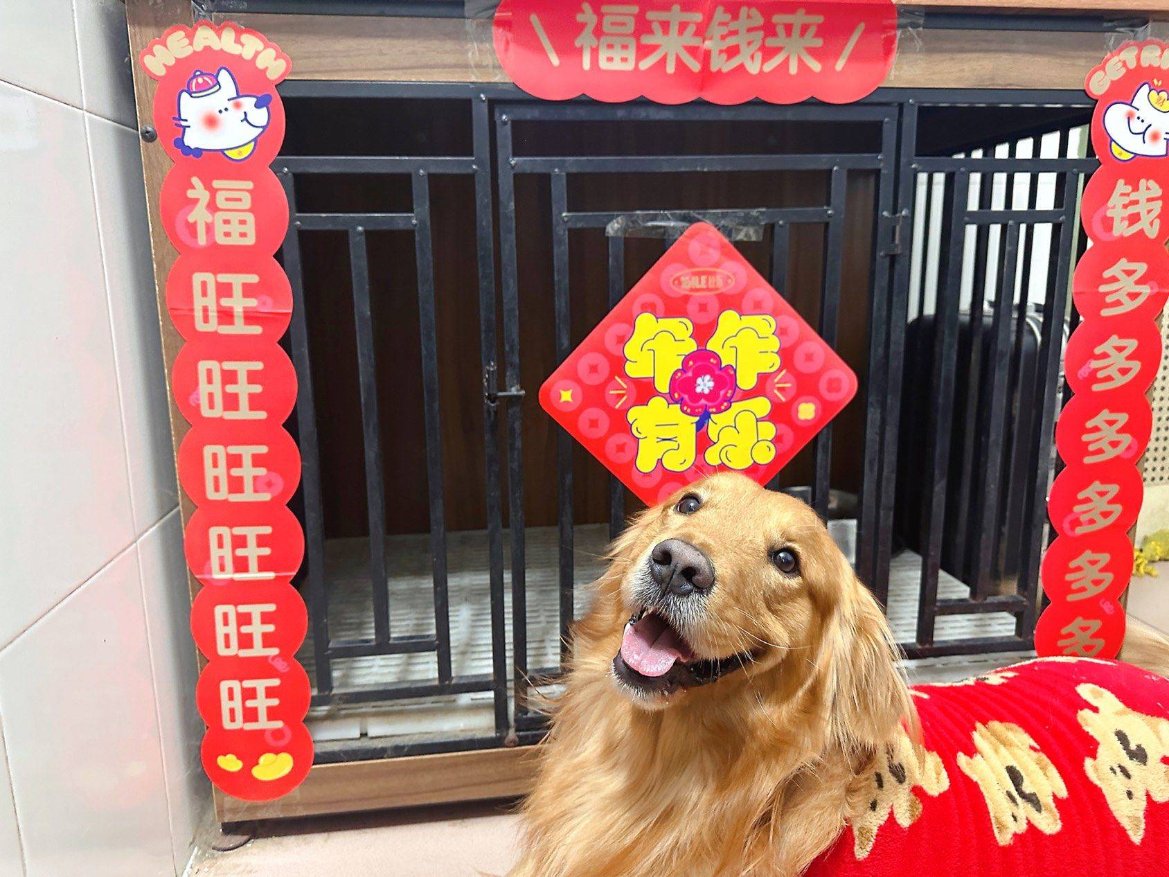 深圳自家房子出租 欢迎咨询看房~