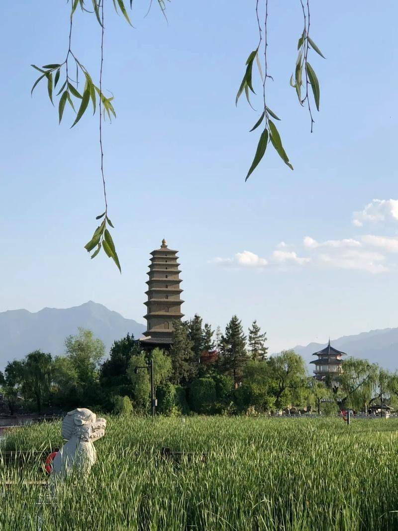 西安市鄠邑区渼陂湖畔开民宿的姐姐，欢迎来_1