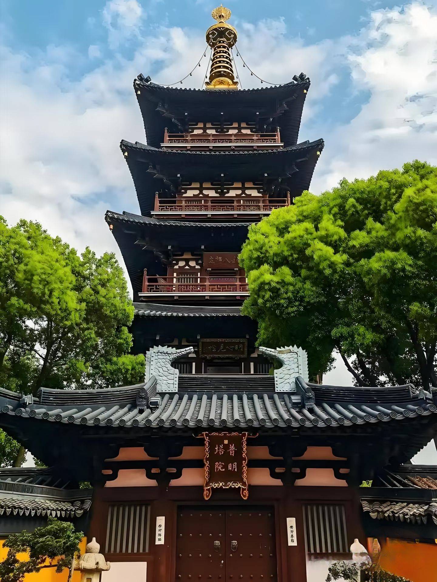 出片百分百😆苏州. 手推波_0