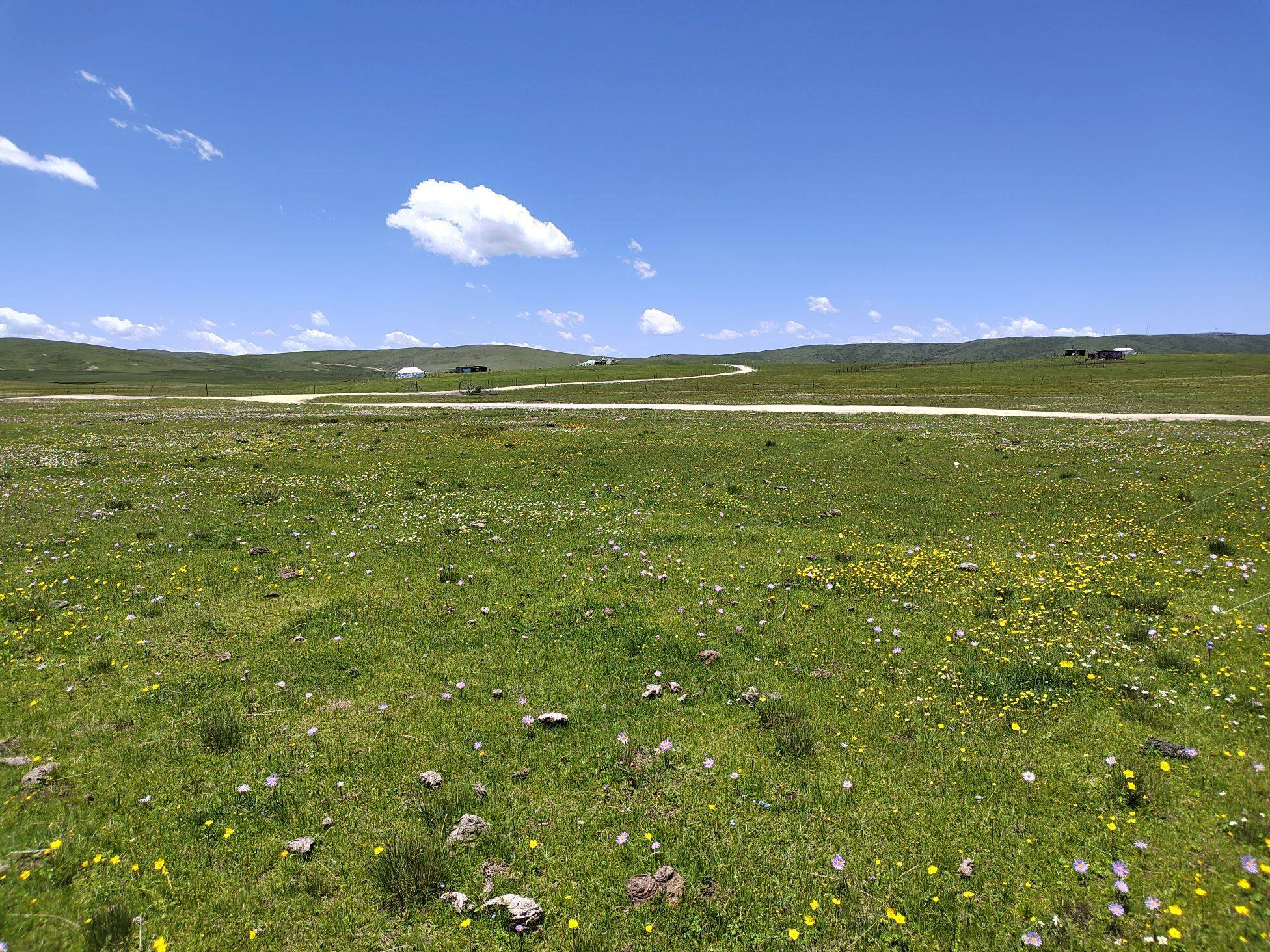 黄河九曲第一湾_0