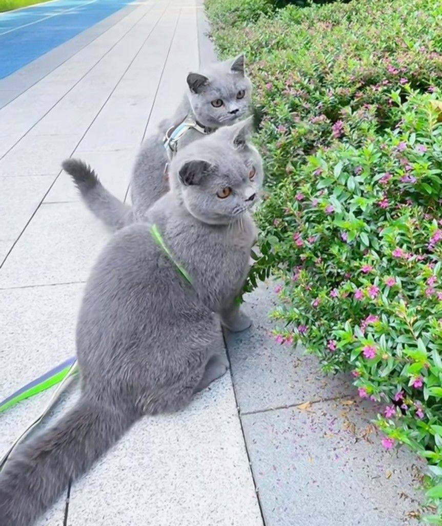 我为什么坚持自己出租，从不委托中介？_0