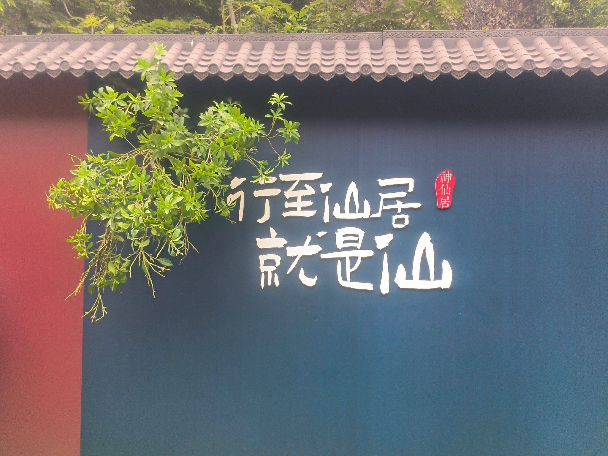 神仙房东去仙居，苏州仙居待小仙☕️☀️ _1