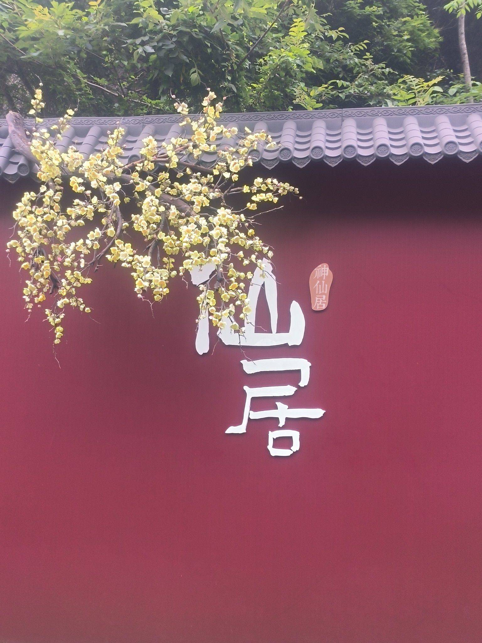 神仙房东去仙居，苏州仙居待小仙☕️☀️ 