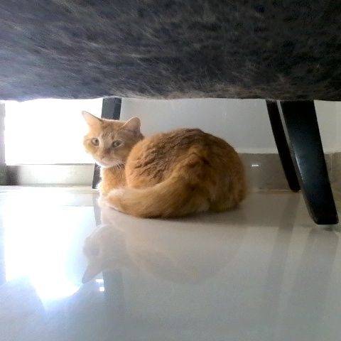 在龙洞找室友_1