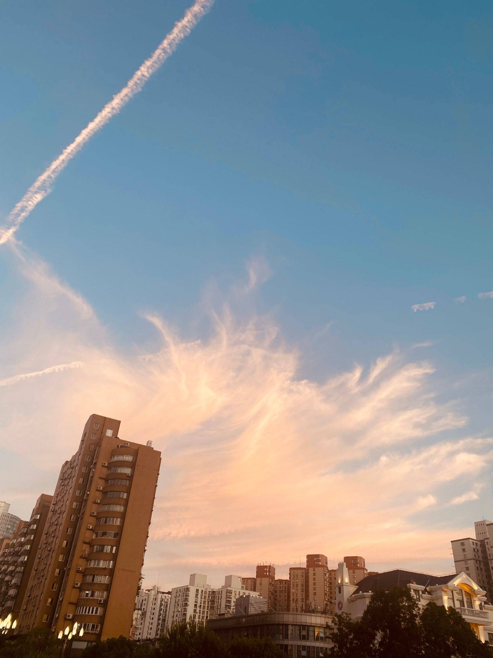 今天上海的云好特别