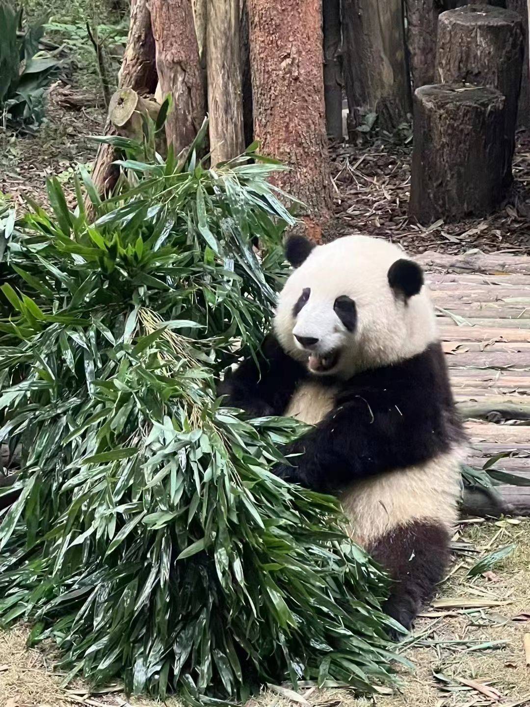 成都找个室友_0