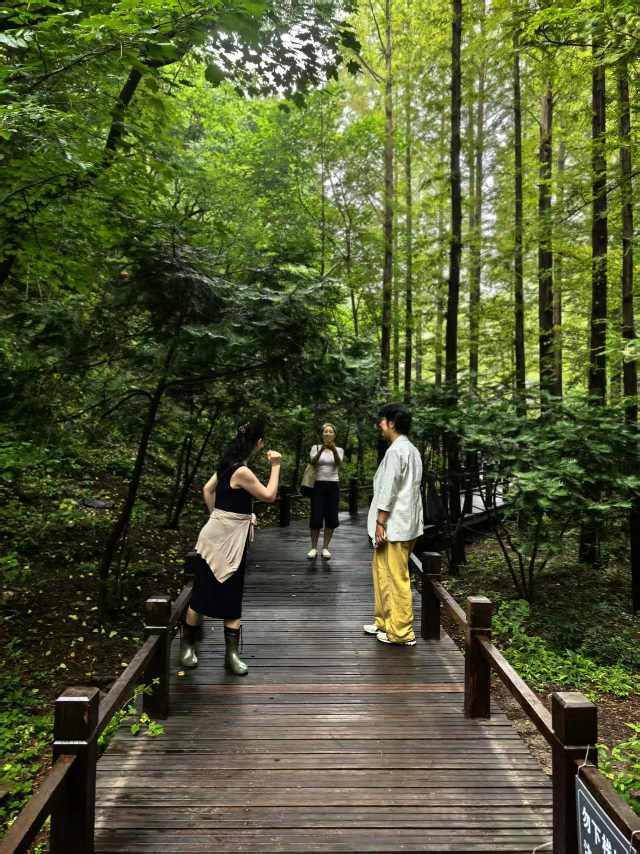 雨前香山植物园/卧佛寺山庄晚餐_2