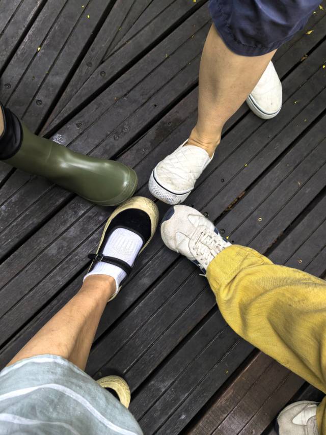 雨前香山植物园/卧佛寺山庄晚餐_4