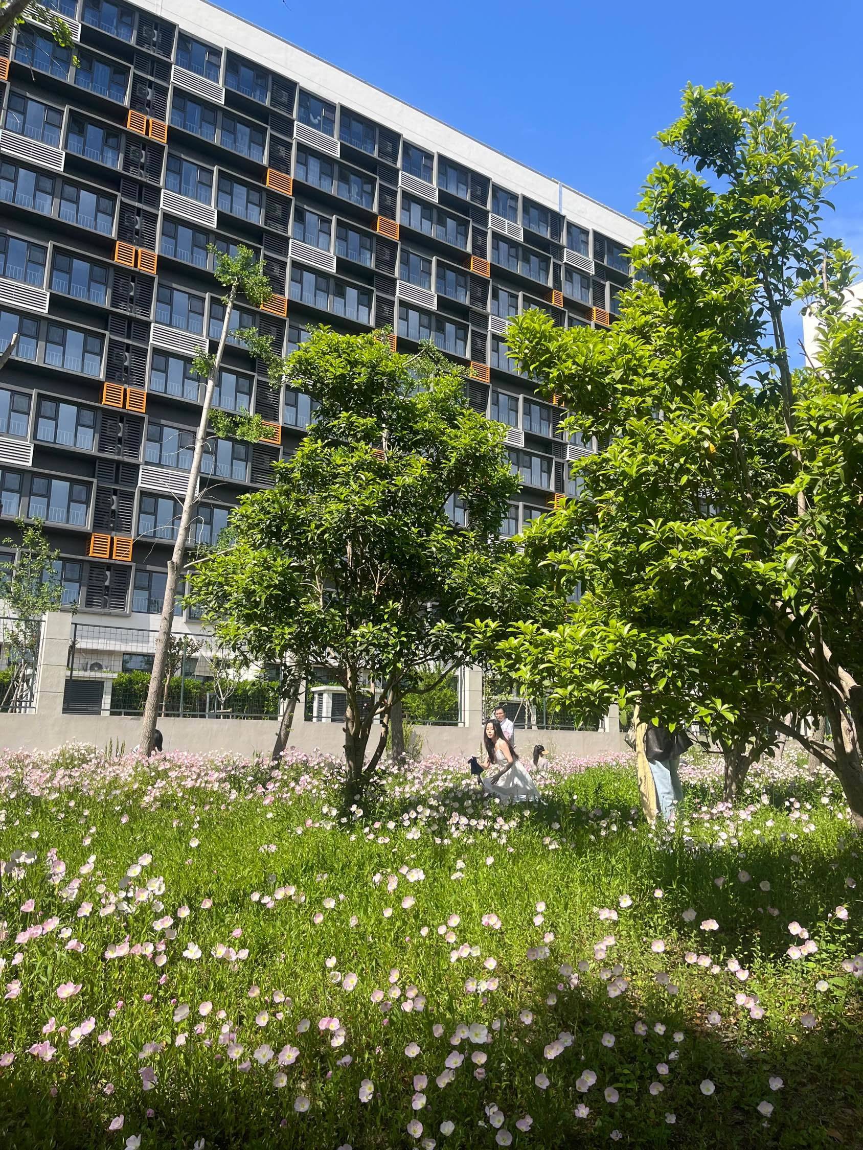  城市唤醒计划 