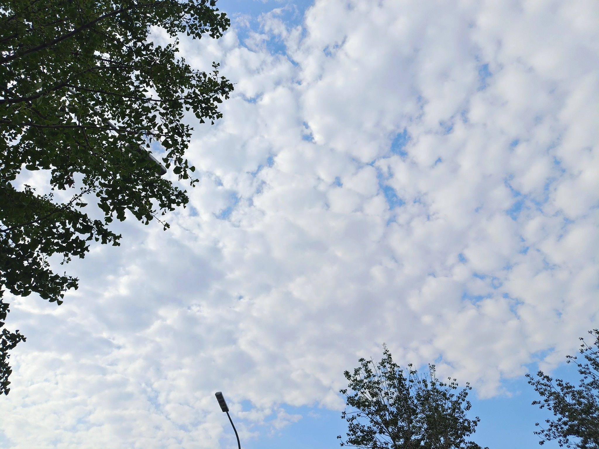 老张的哲学初来乍到，请多关照！_2