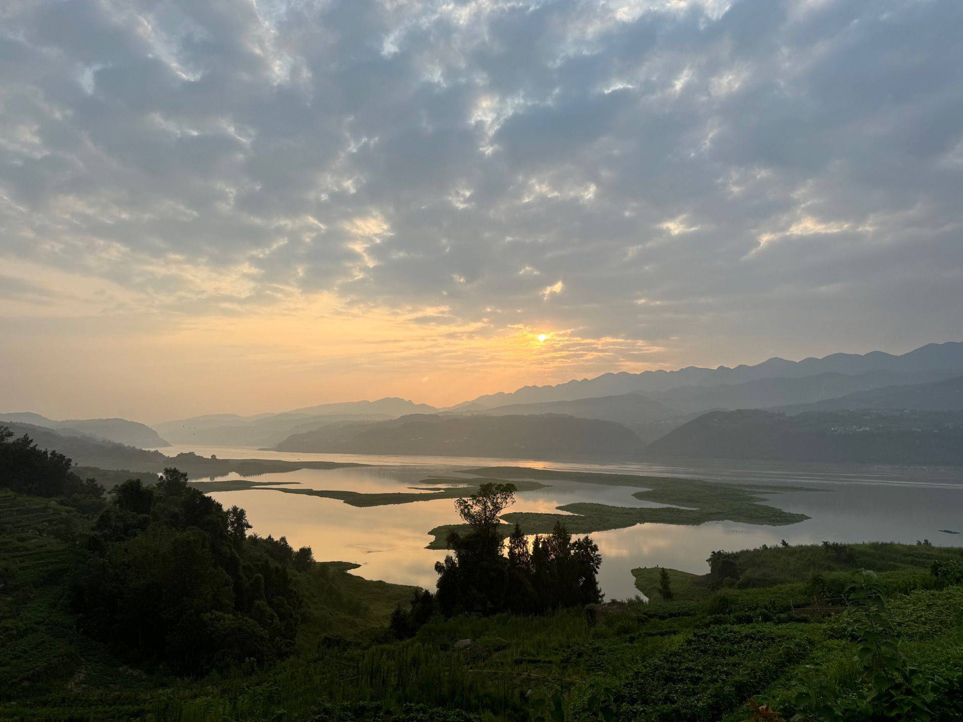 早晨！ 在线蹲室友 