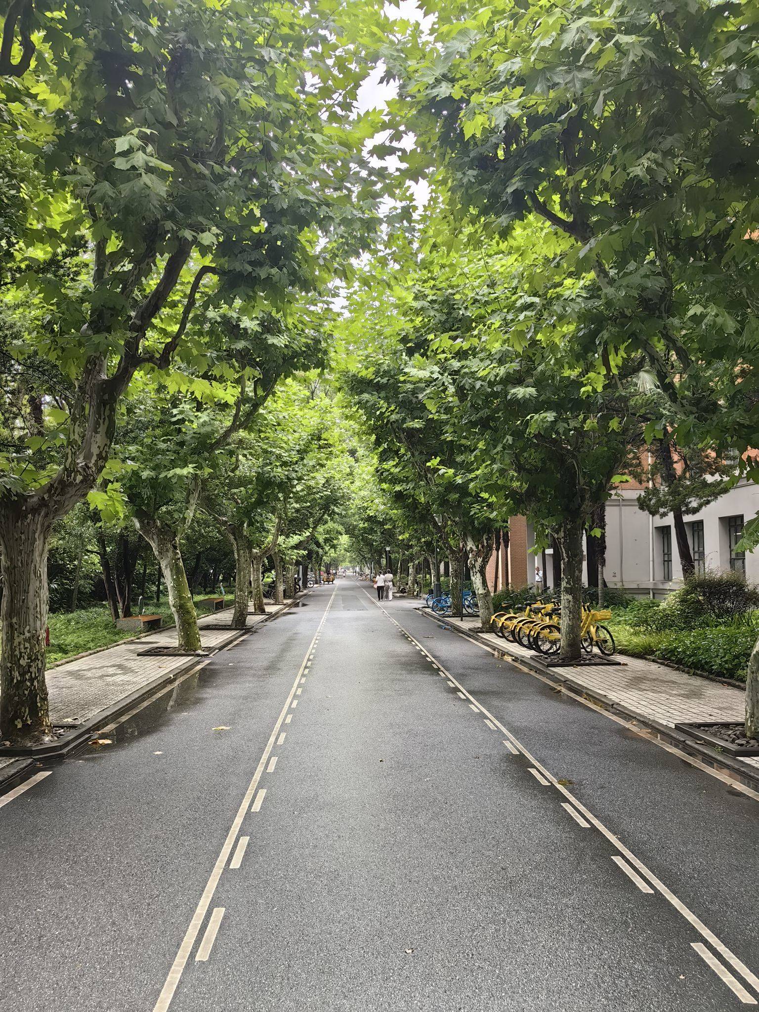 没有销声匿迹，我在热爱生活_1