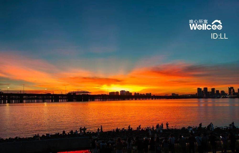 深圳前海梦开始的地方，寻室友。_1