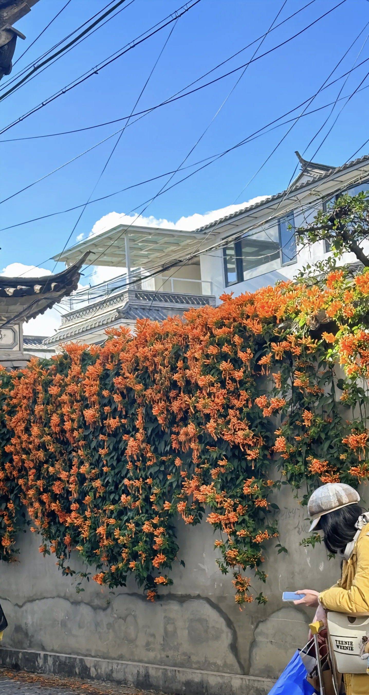 总得去趟云南吧 初来乍到 _1