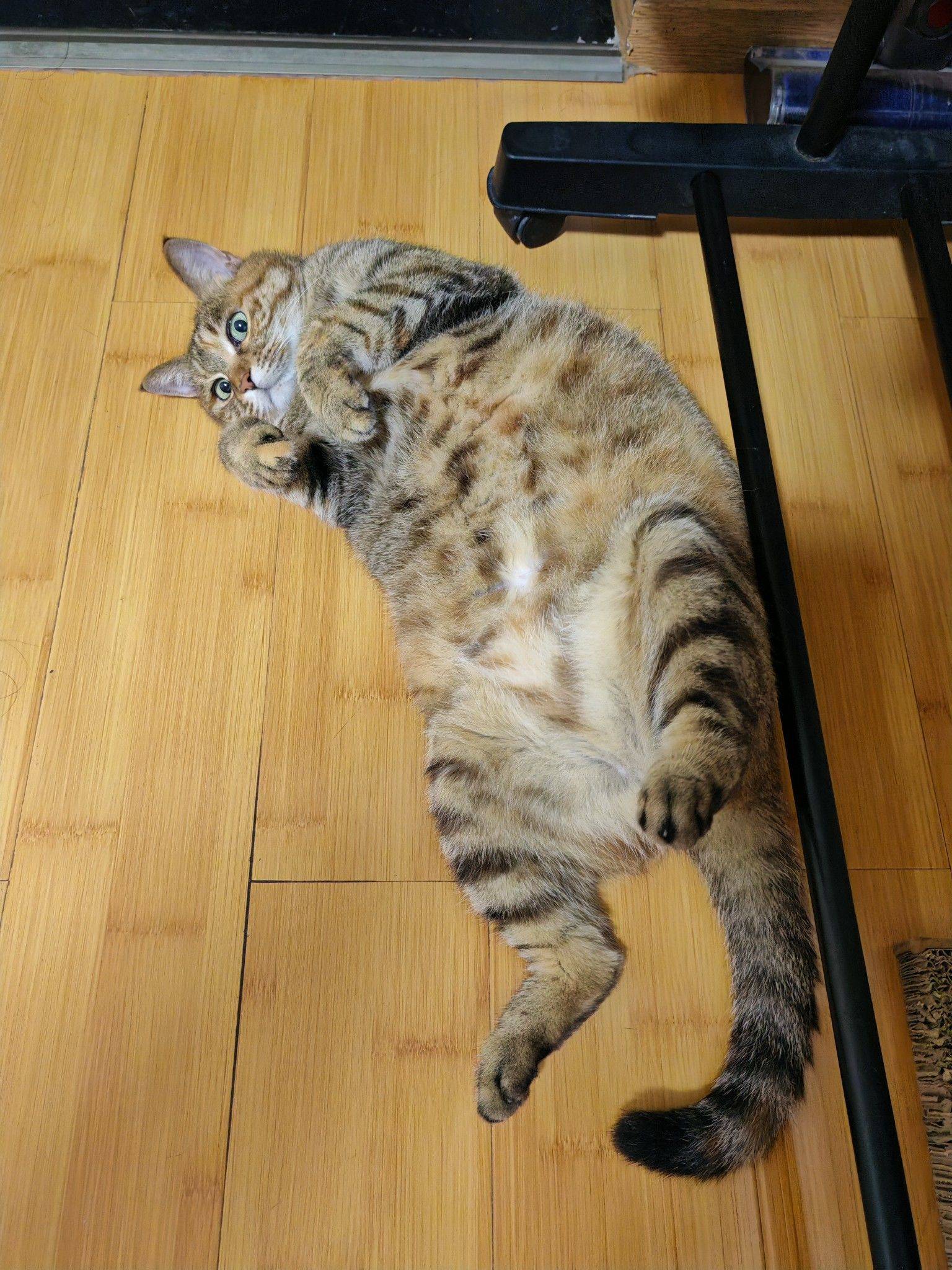 呀！我听到什么不该听的了～