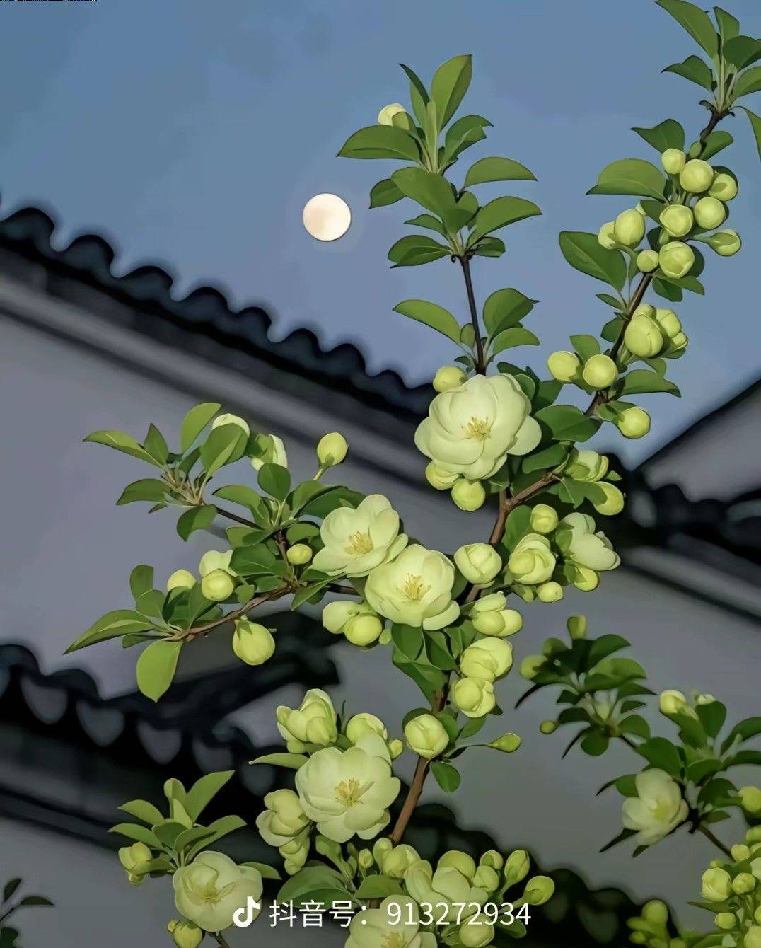  记录吧就现在