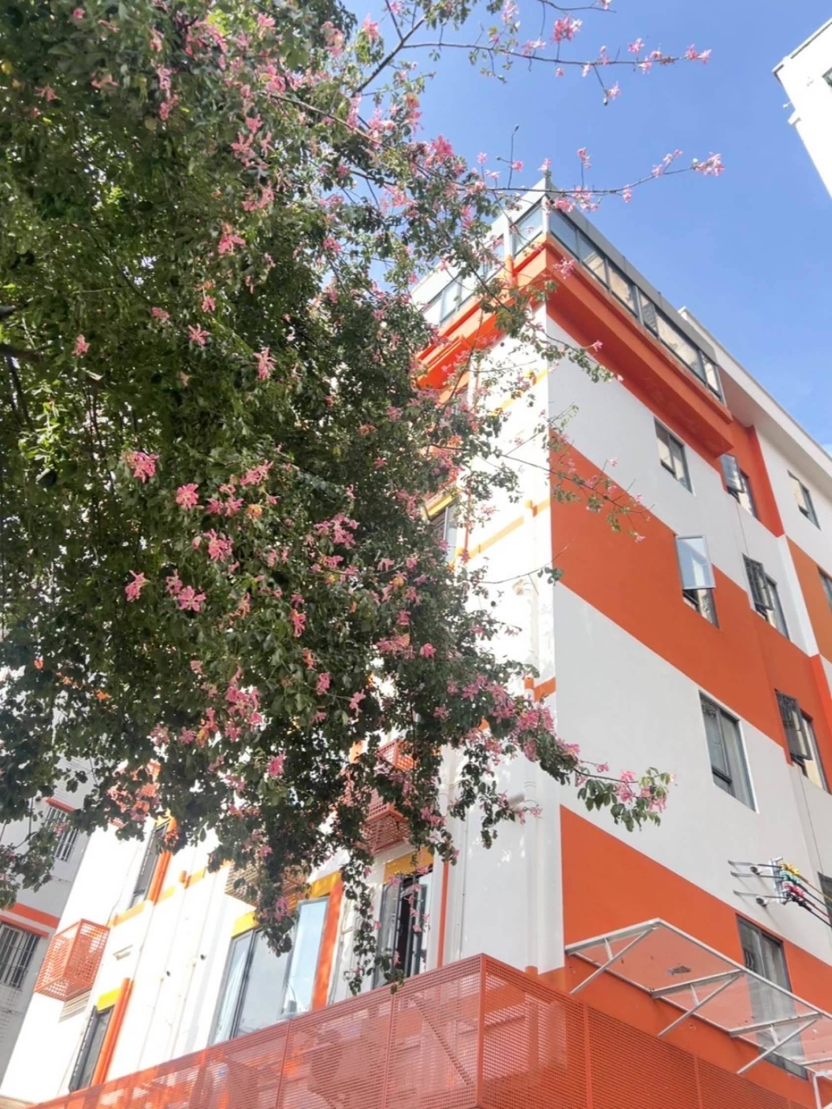 晒晒太阳放放风 ▷ ▷☀️ 〰️ 🐾 