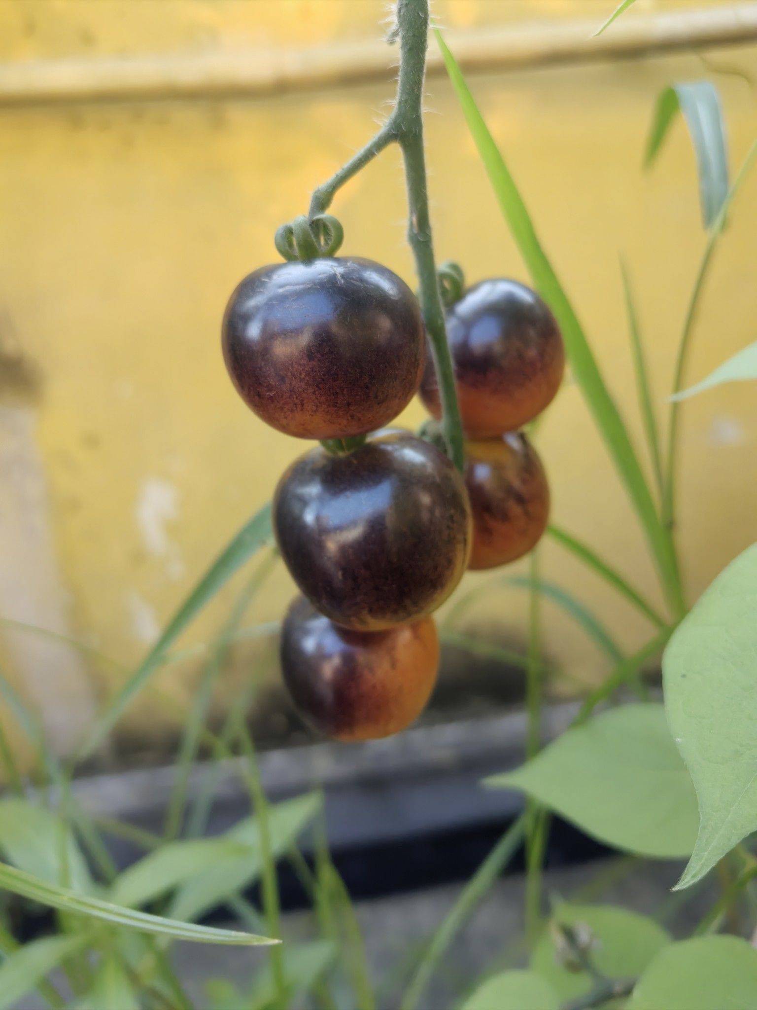  记录吧就现在 _1