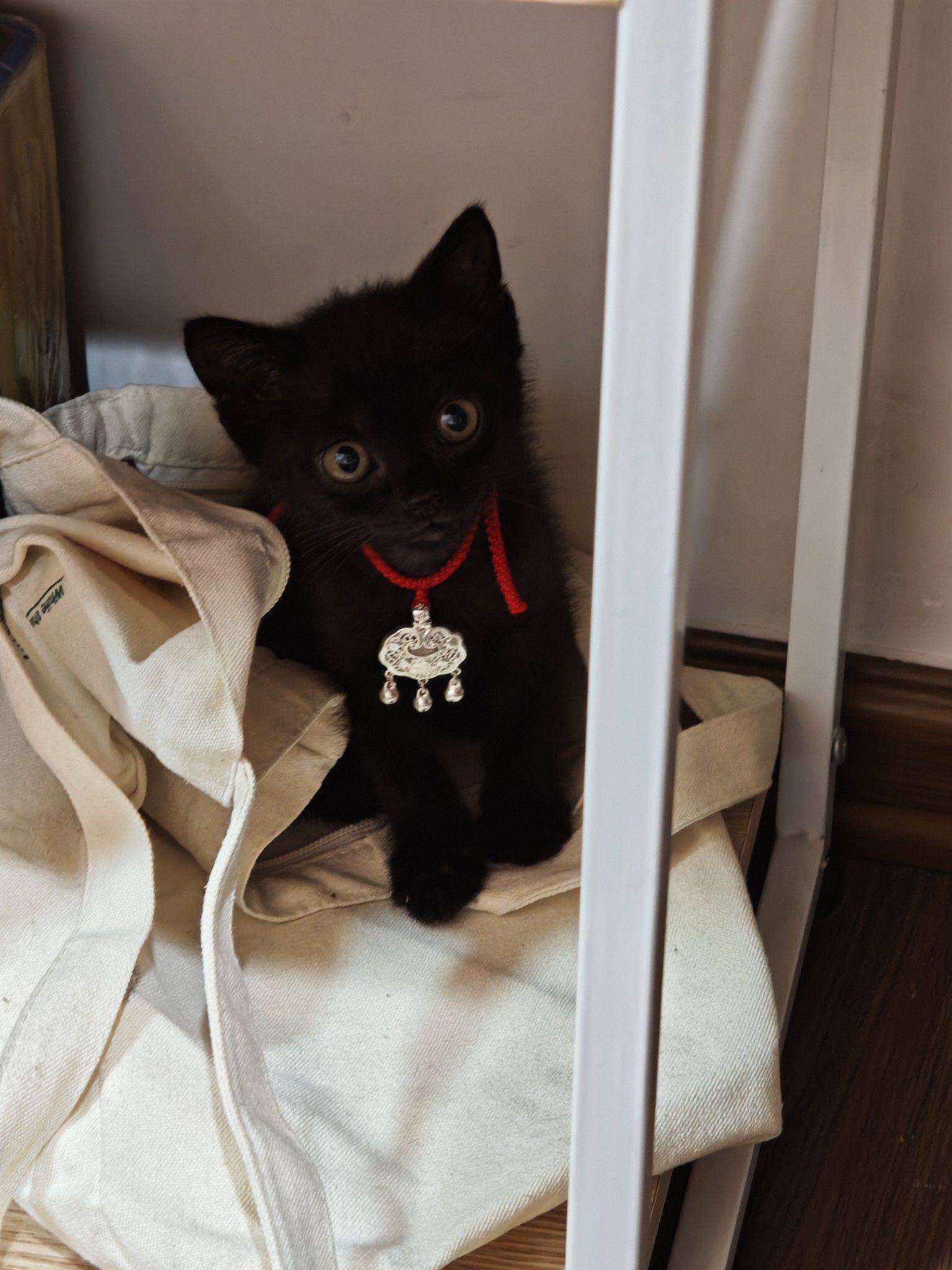 广州海珠区找室友，希望是女孩子！_0