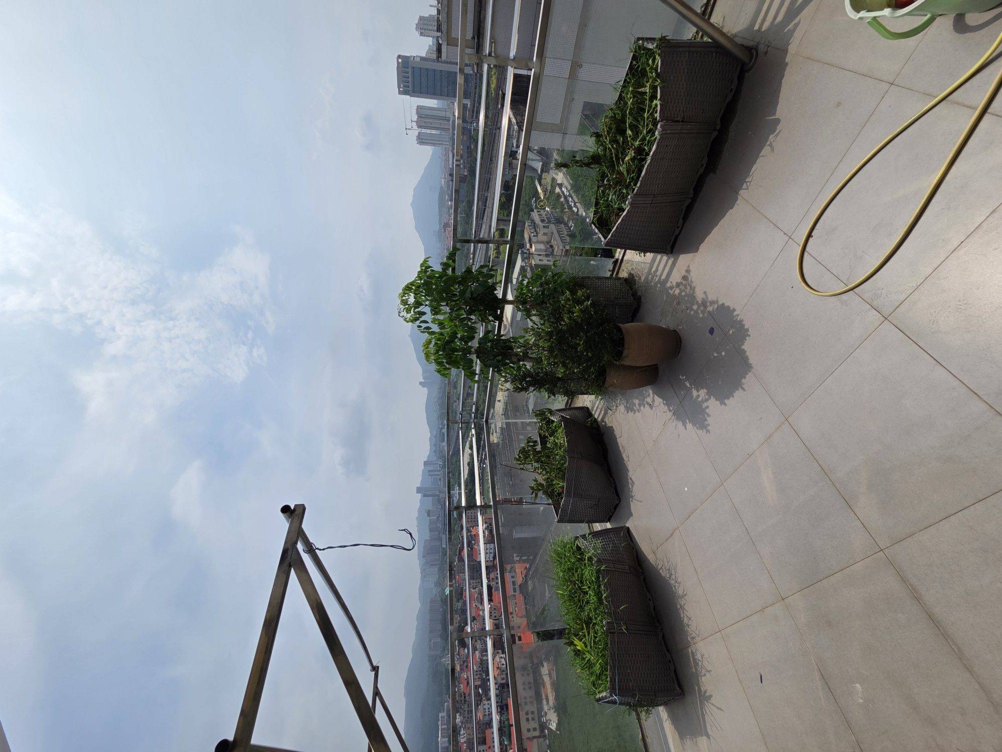 厦门软三蹲室友