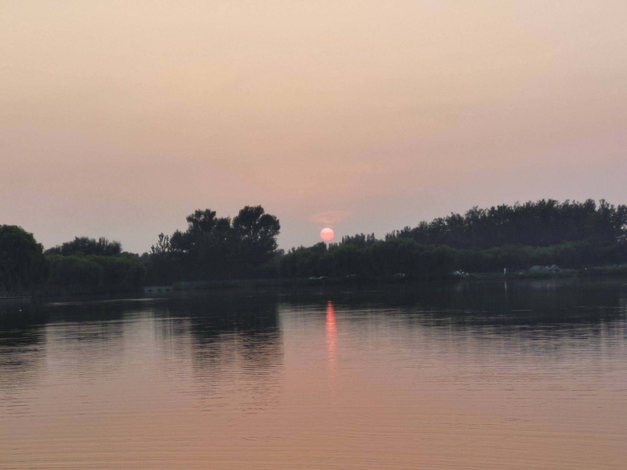  在线蹲室友  记录吧就现在 