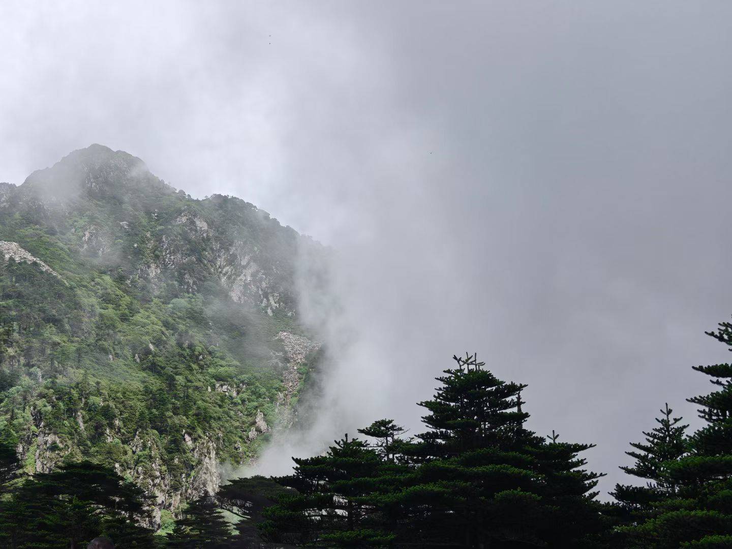 ⛰️那远山呼唤我～