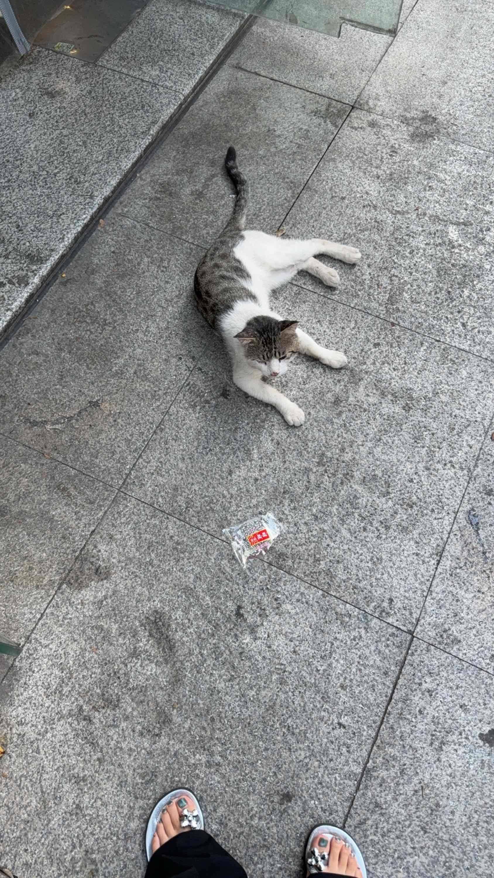 在罗森门口揽客得小茂密🐈 在线蹲室友 