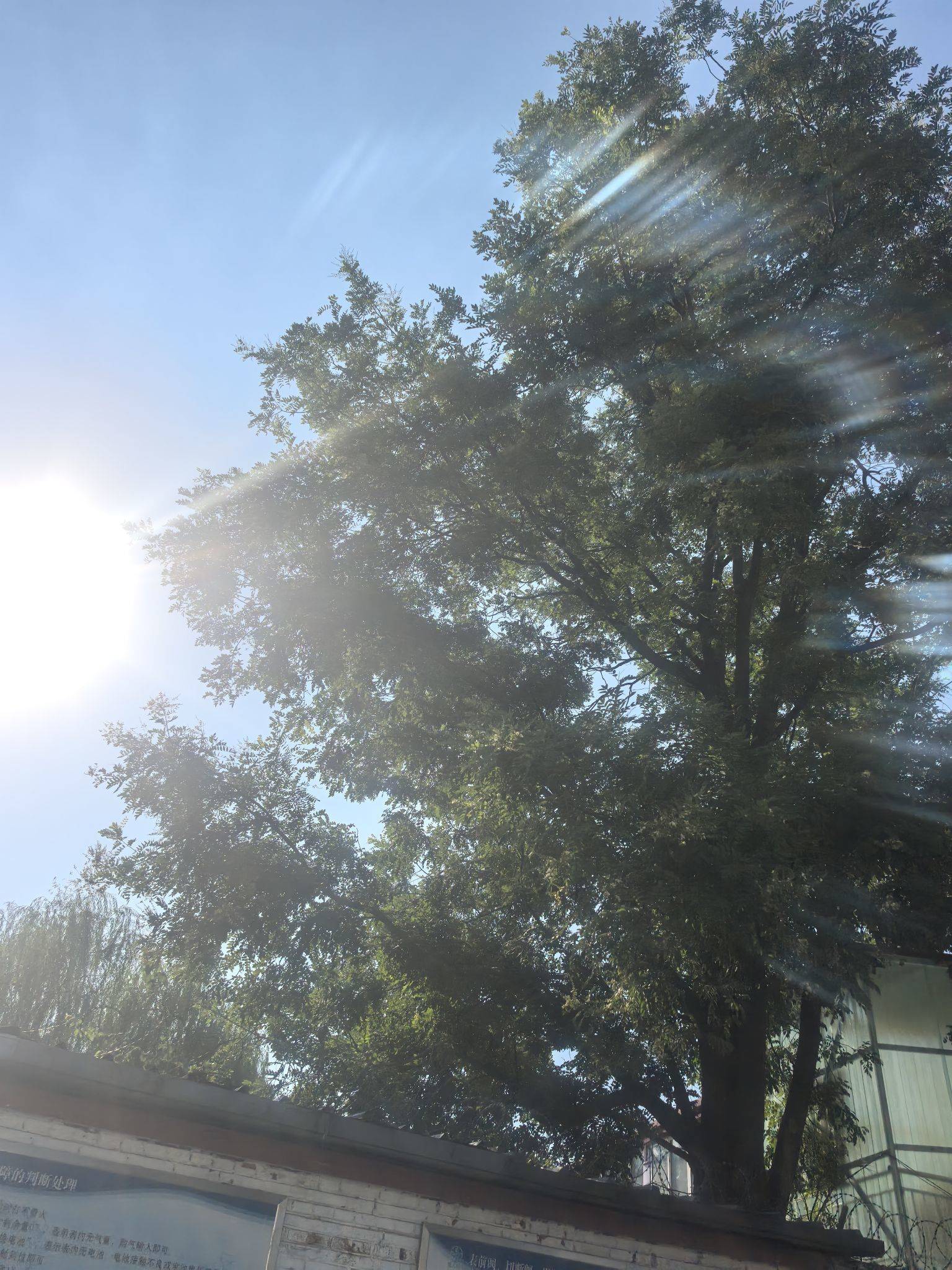迎接北京 37℃ 的秋天_1