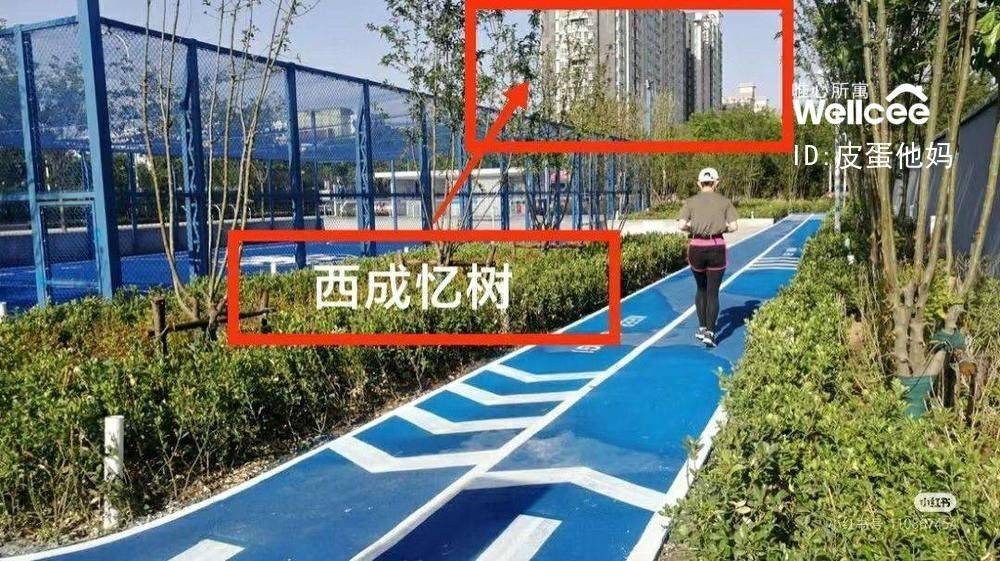 北京石景山杨庄房东在线蹲一小伙伴