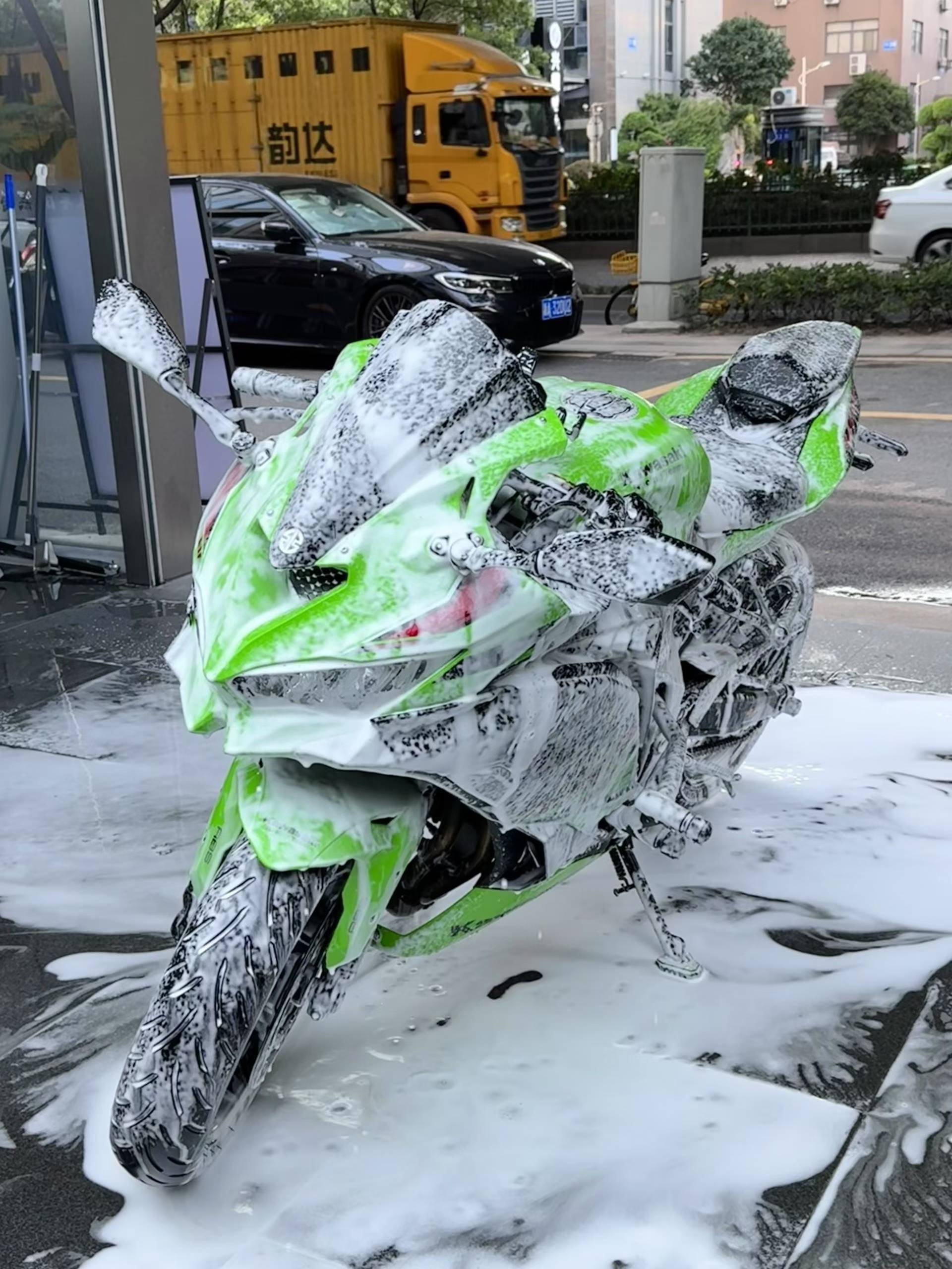  绿色的一天 在线蹲室友  找搭子 _2