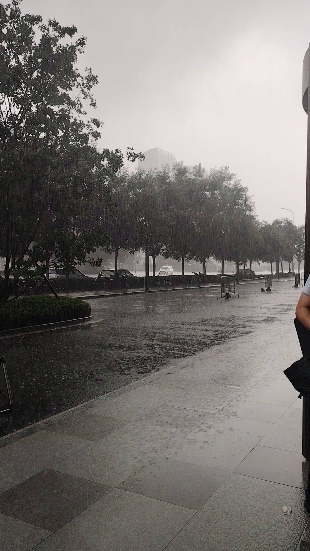北京的大雨