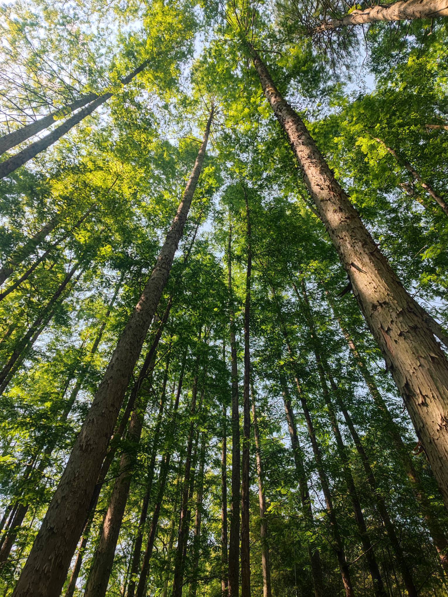 杭州良渚蹲室友