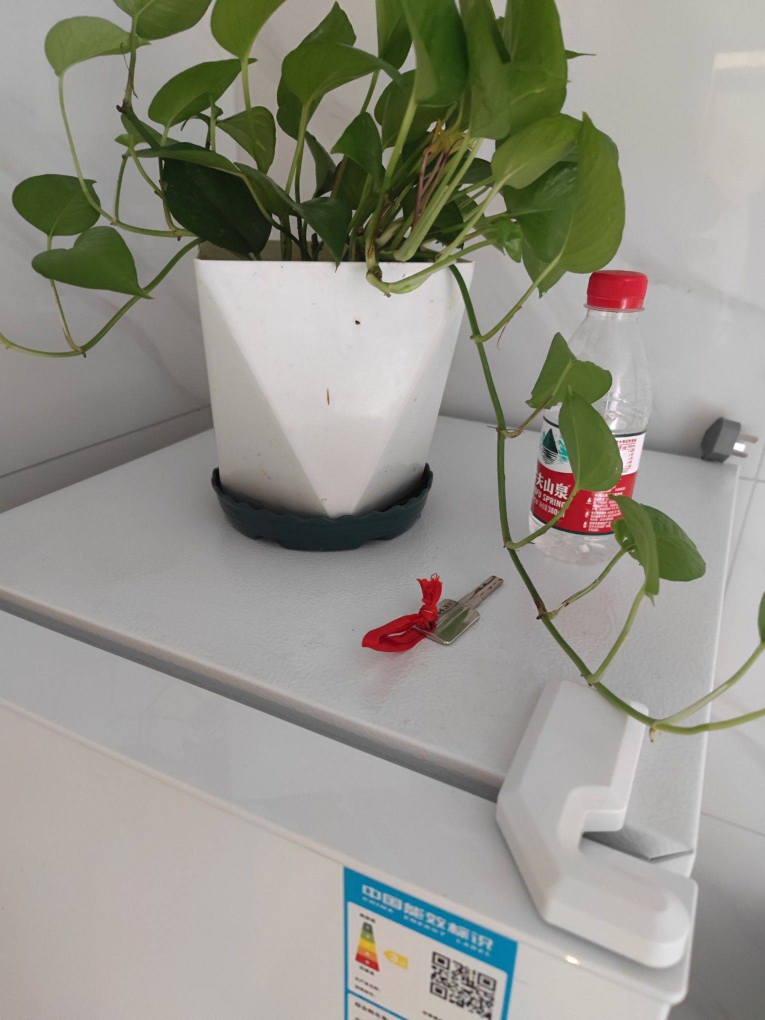 杭州良渚蹲室友_1