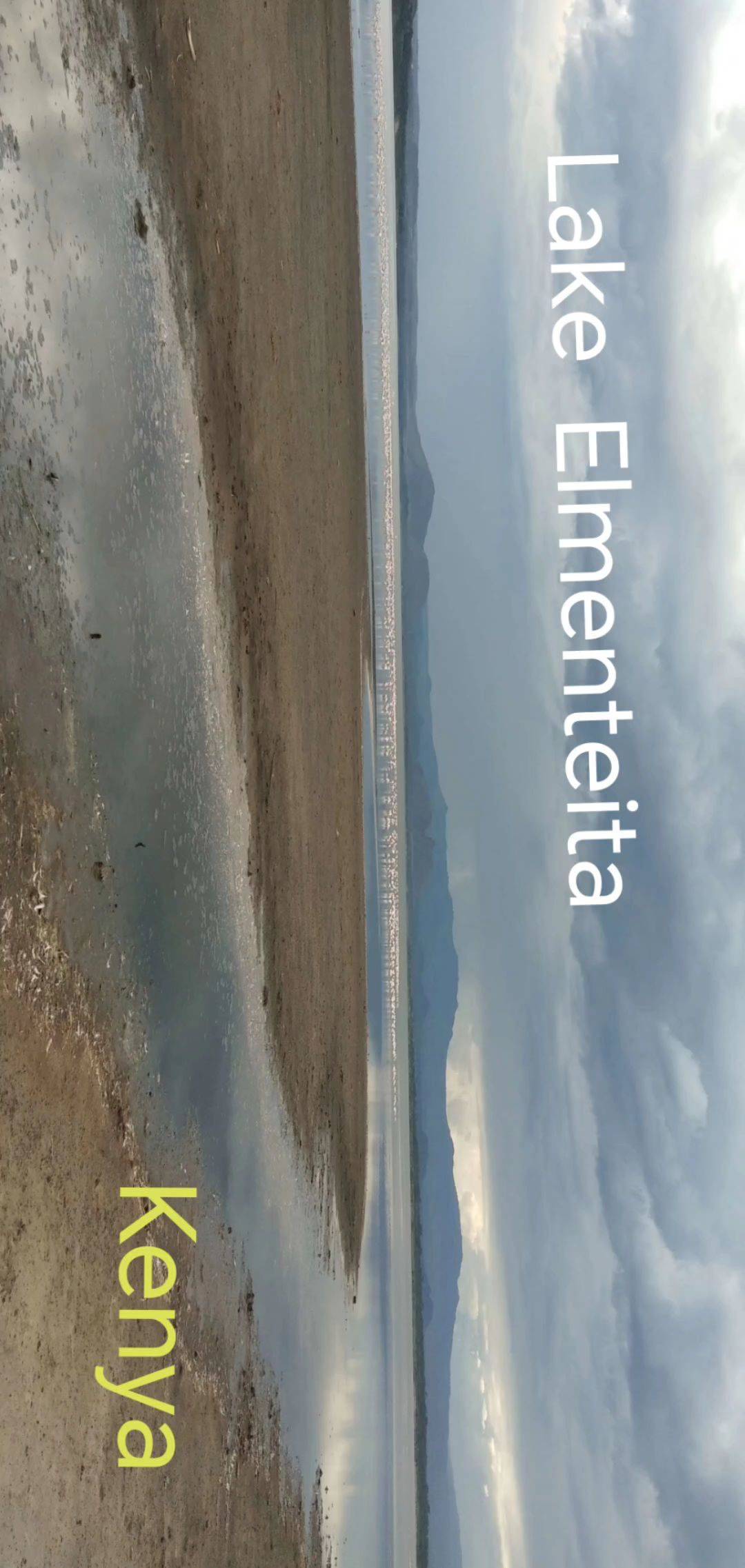 跟着百合去旅行