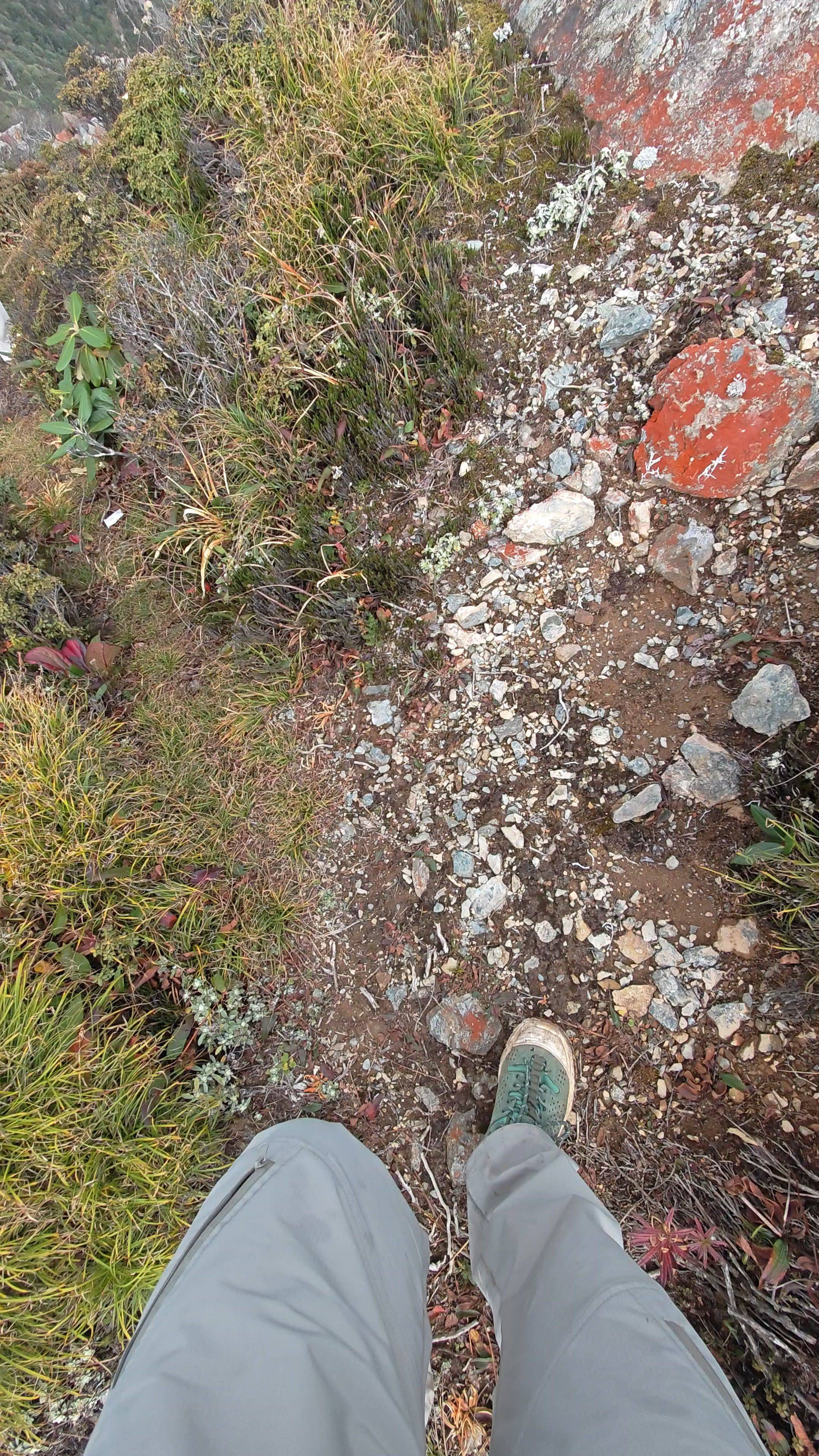 我有间房招室友，发个视频增加一下热度