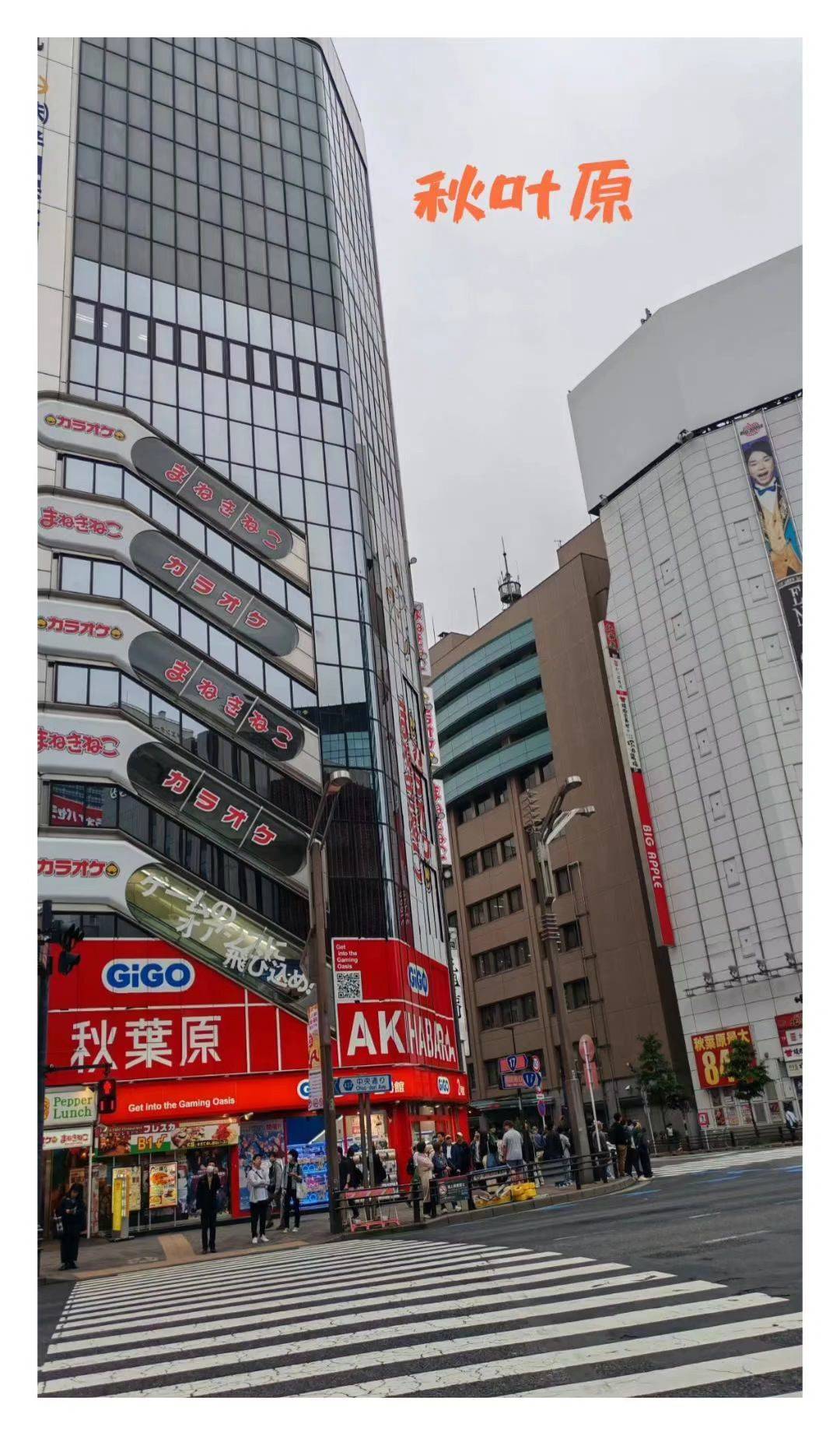 跟着百合去旅行