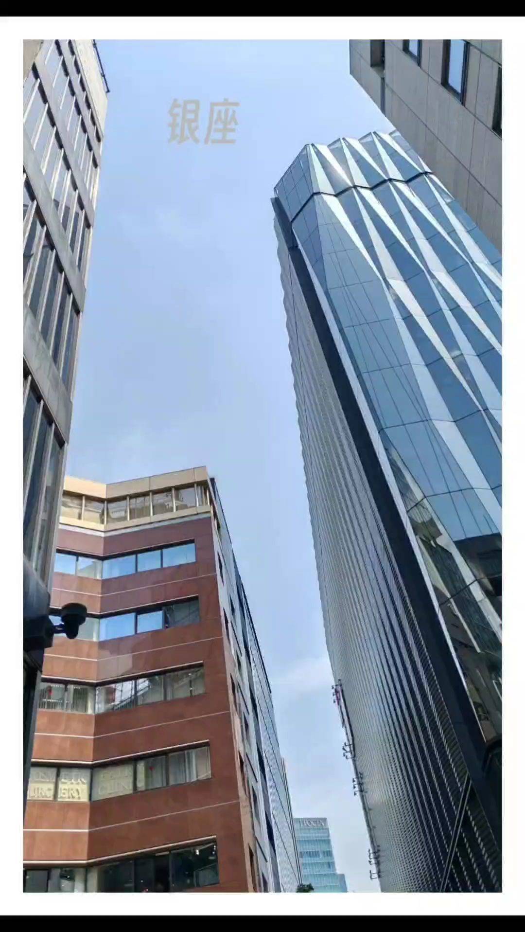 跟着百合去旅行