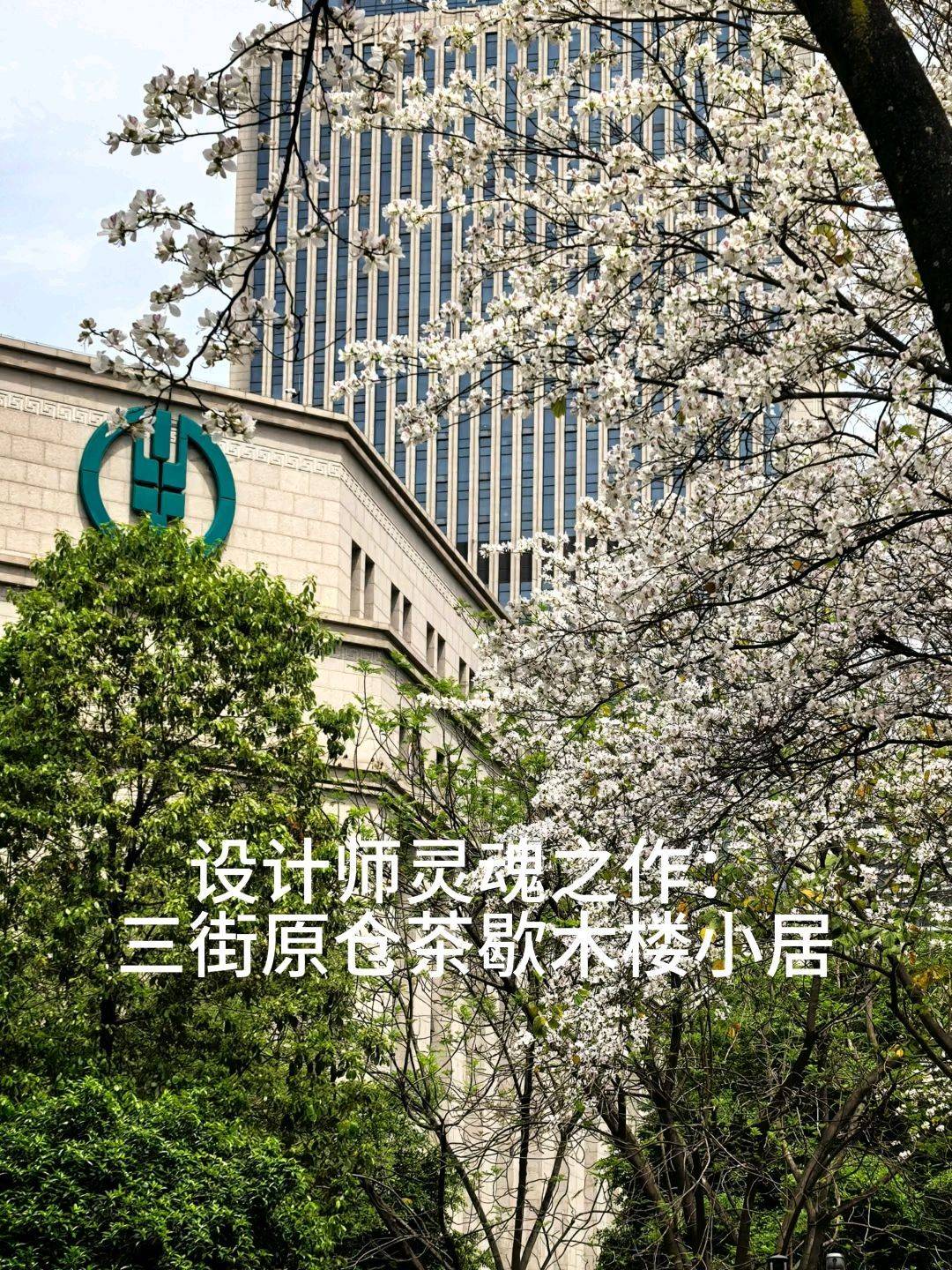 设计师灵魂之作三街木楼小居、茶歇居酒屋

