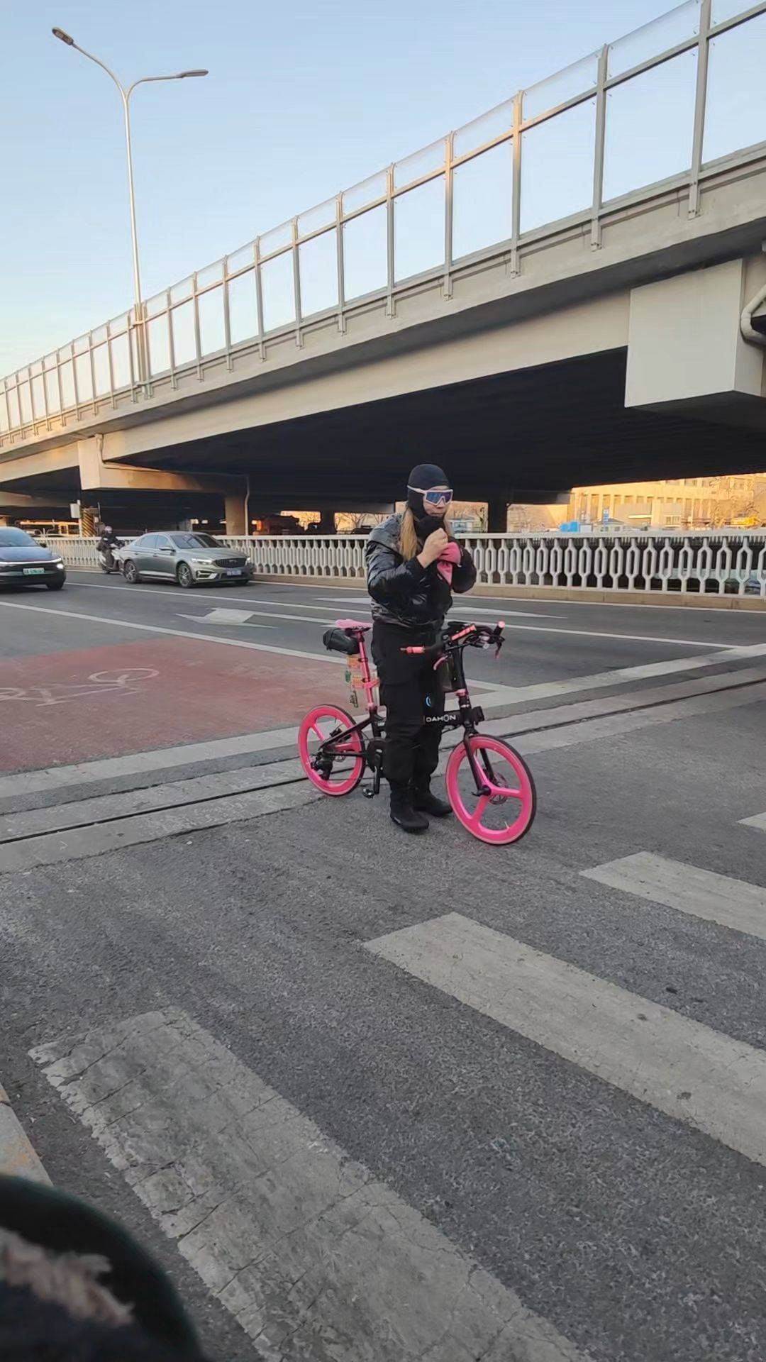 被亮眼的粉和齐秦的歌儿撞了个趔趄