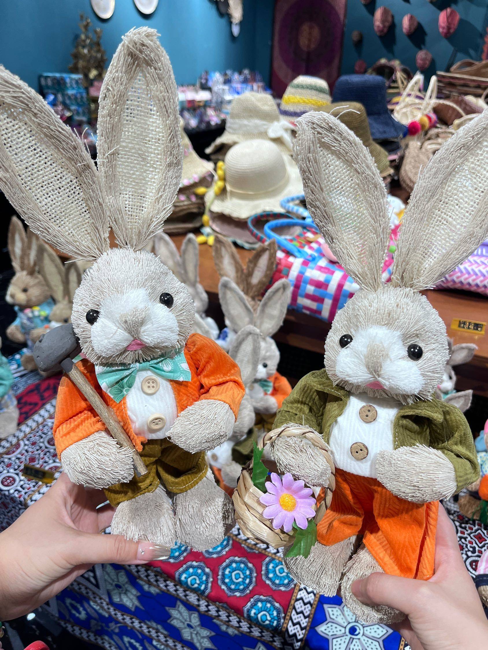  生活主理人  漫步大自然 