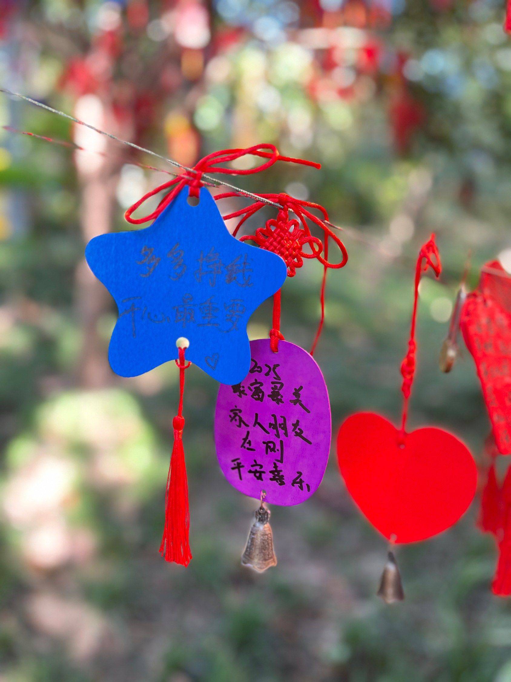  生活主理人  漫步大自然 _1